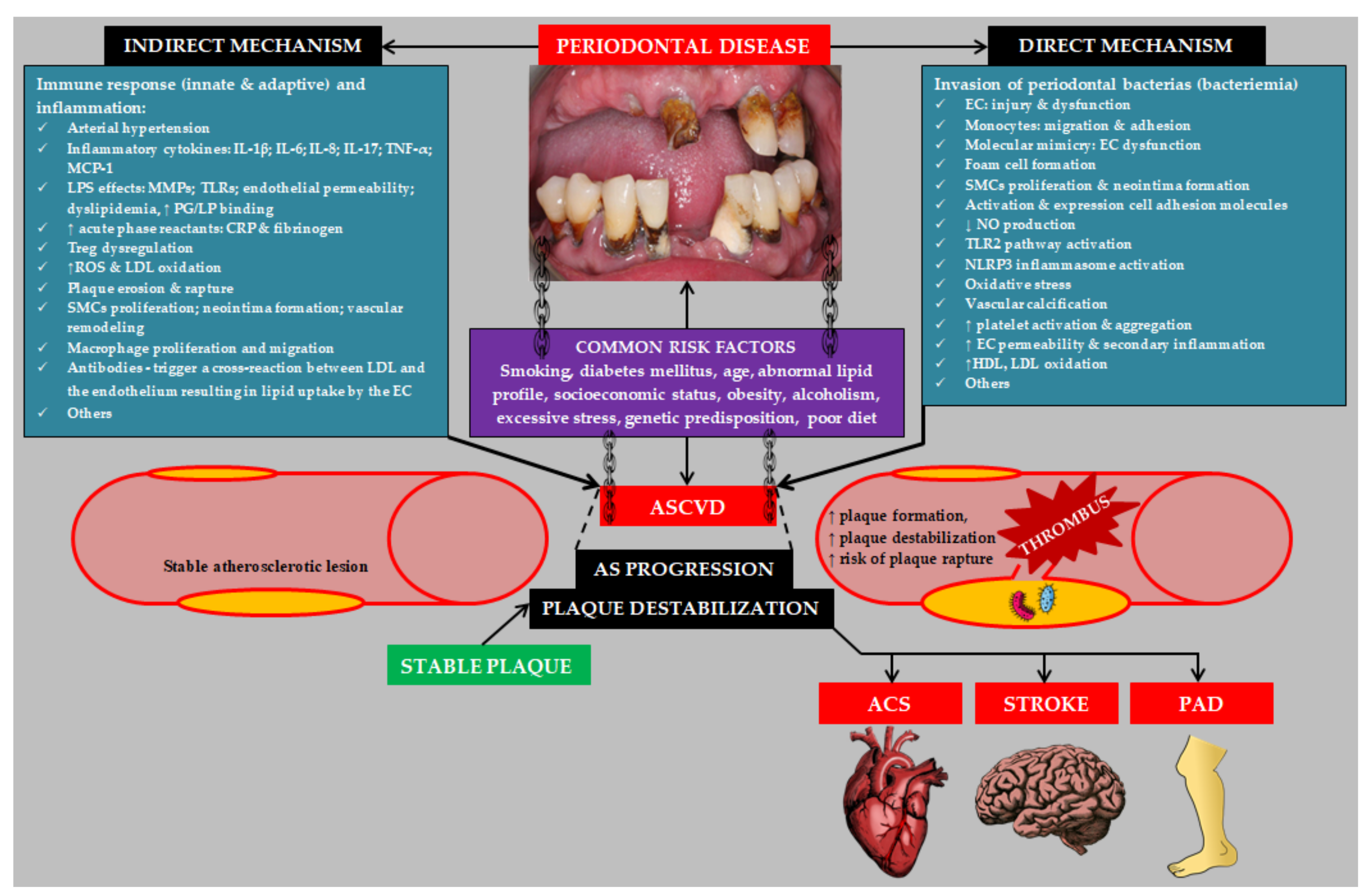 Biology 11 00272 g002 Biology 11 00272 g002