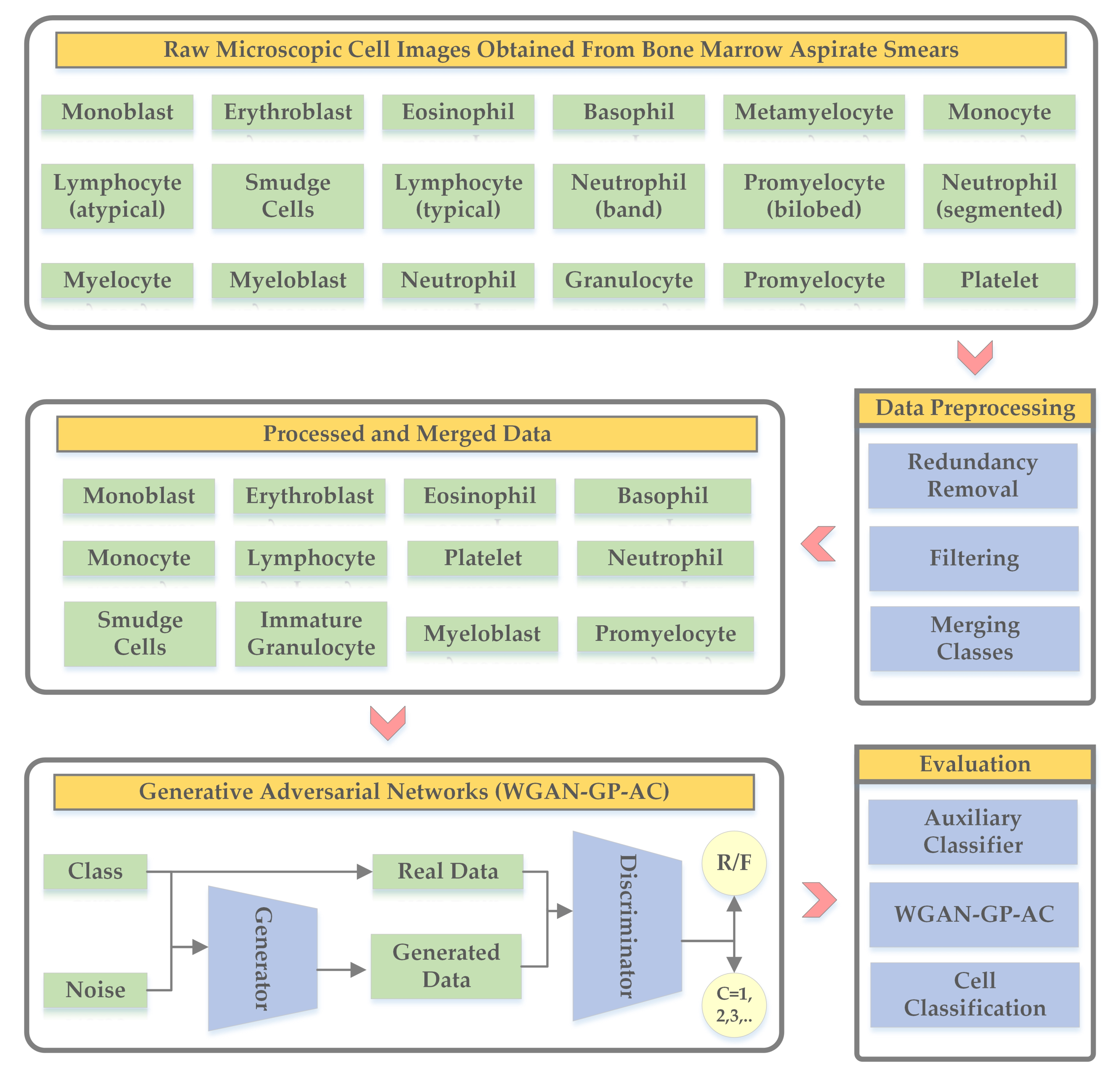 Biology 11 00276 g002