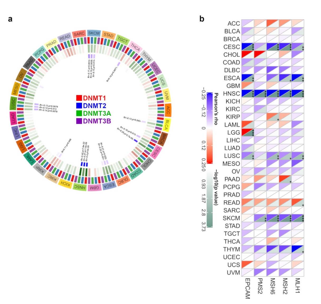 Biology 11 00284 g004