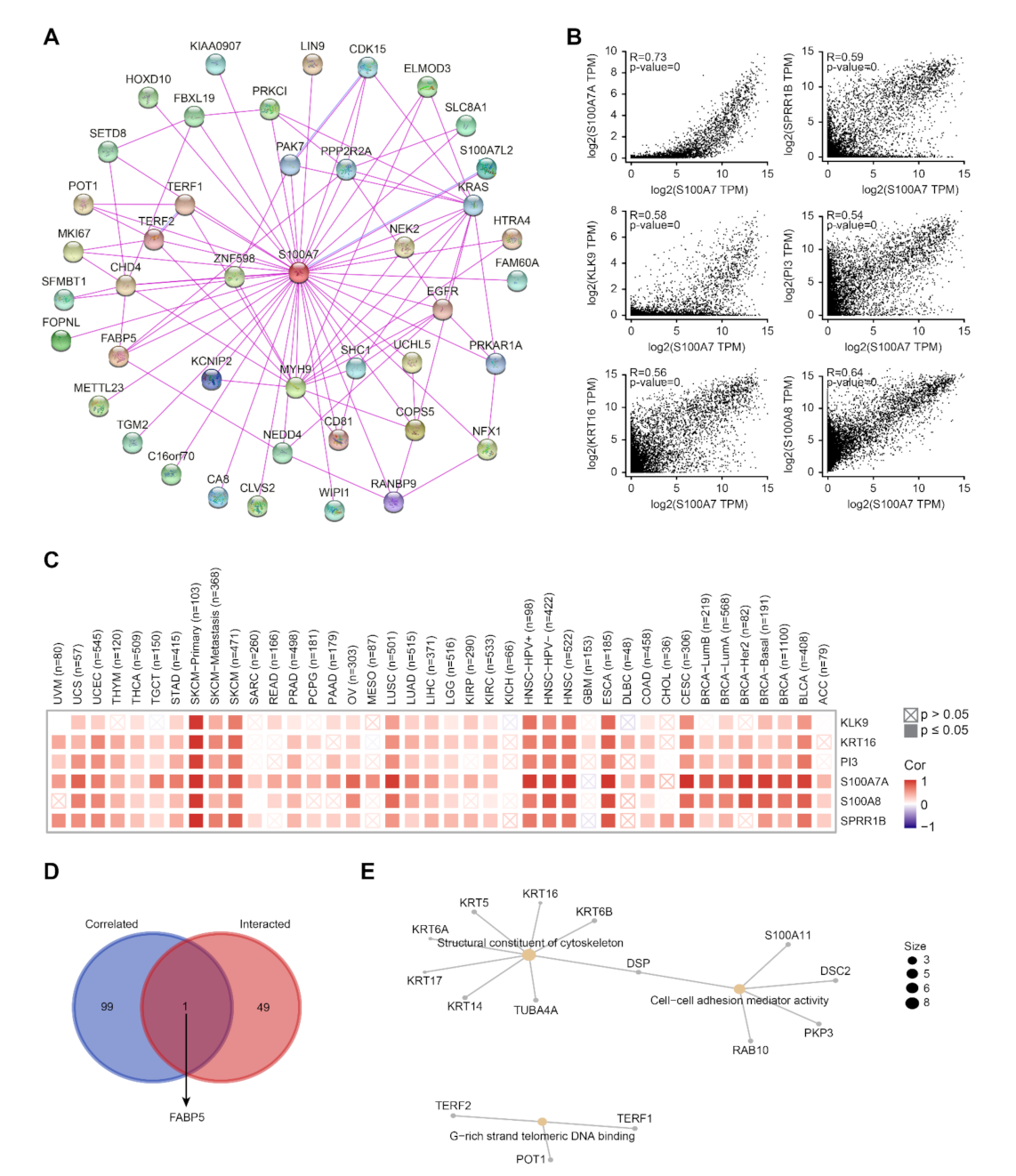 Biology 11 00284 g006