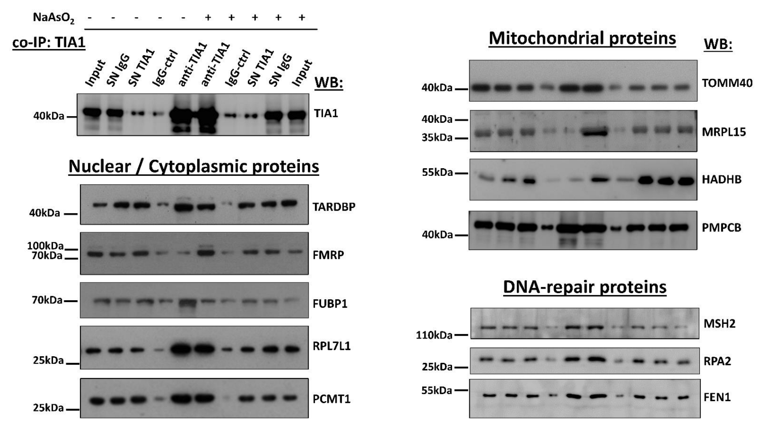 Biology 11 00287 g005 550