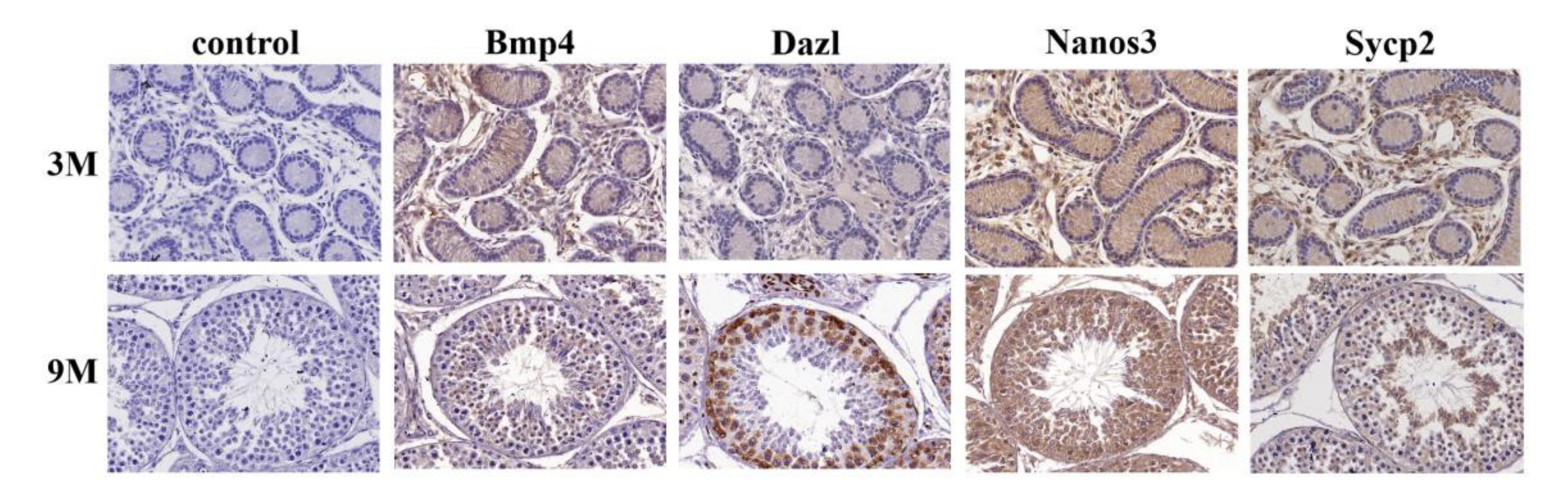 Biology 11 00289 g003 550