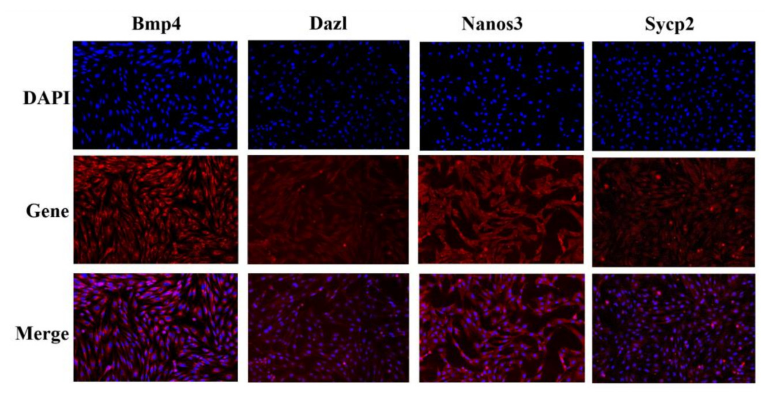 Biology 11 00289 g004 550