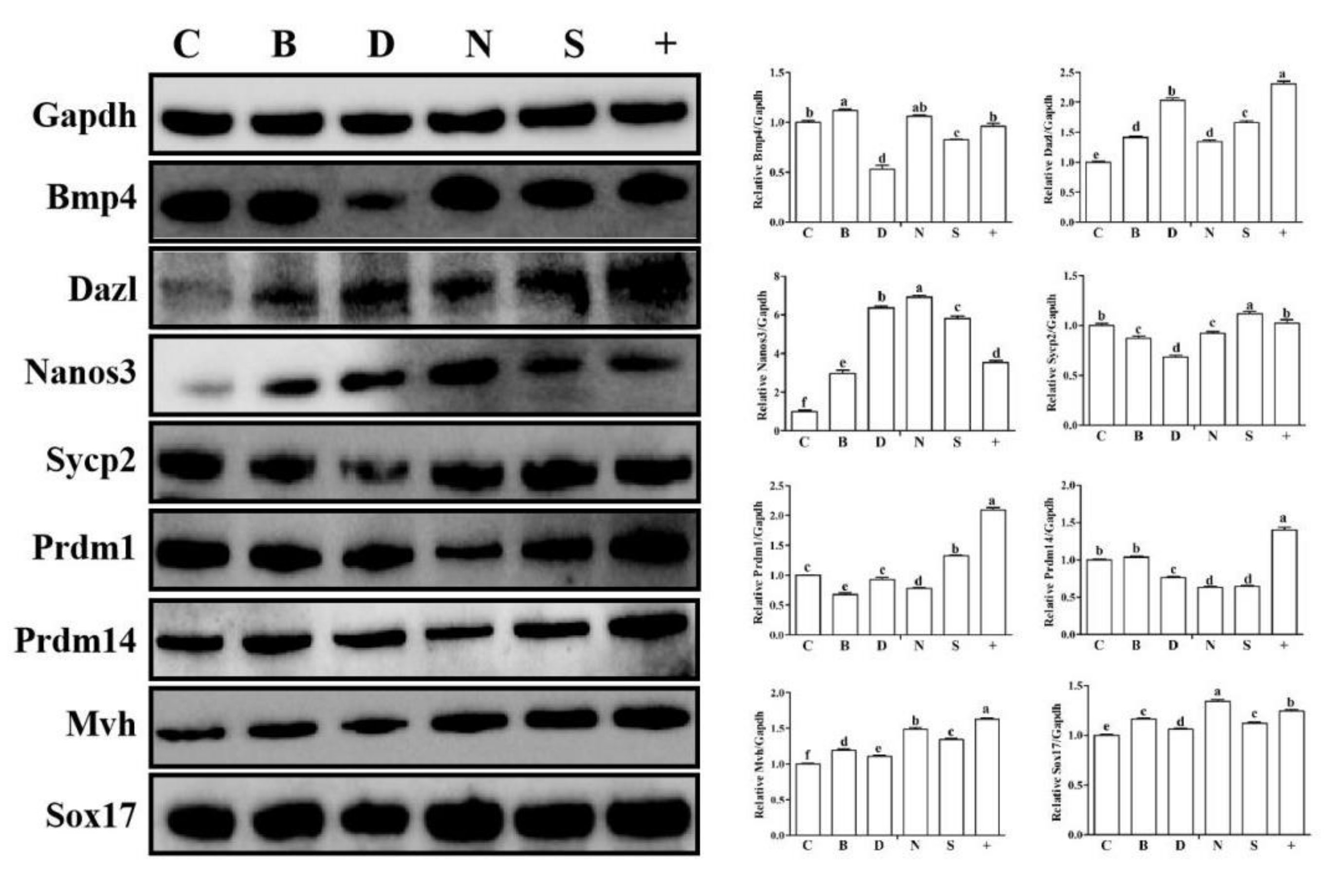 Biology 11 00289 g006 550