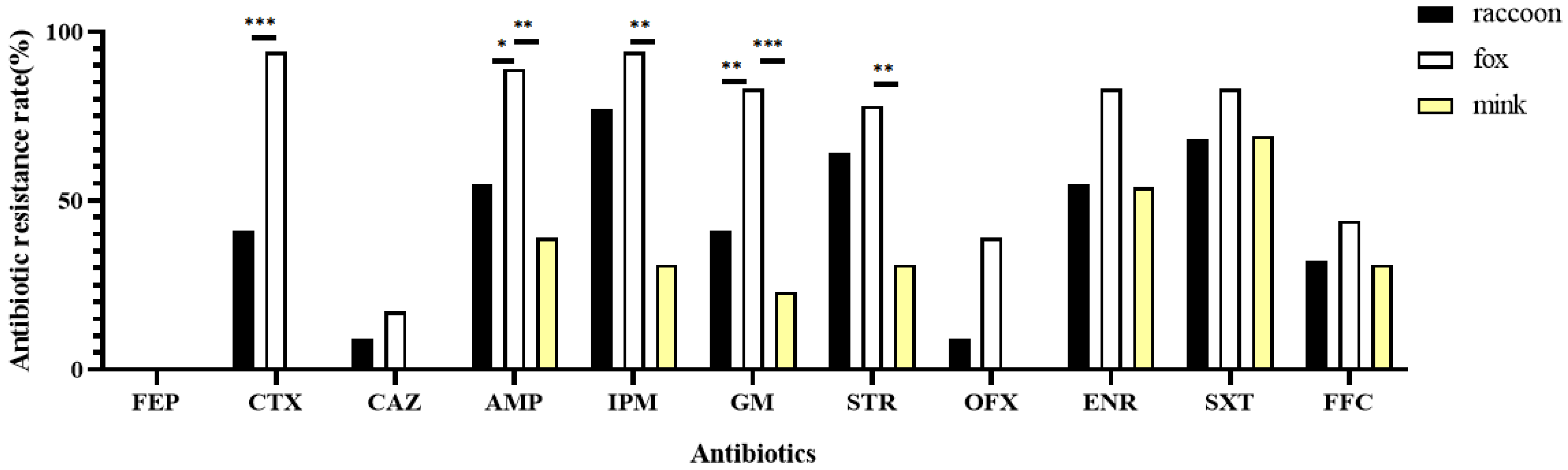 Biology 11 00292 g002 Biology 11 00292 g002