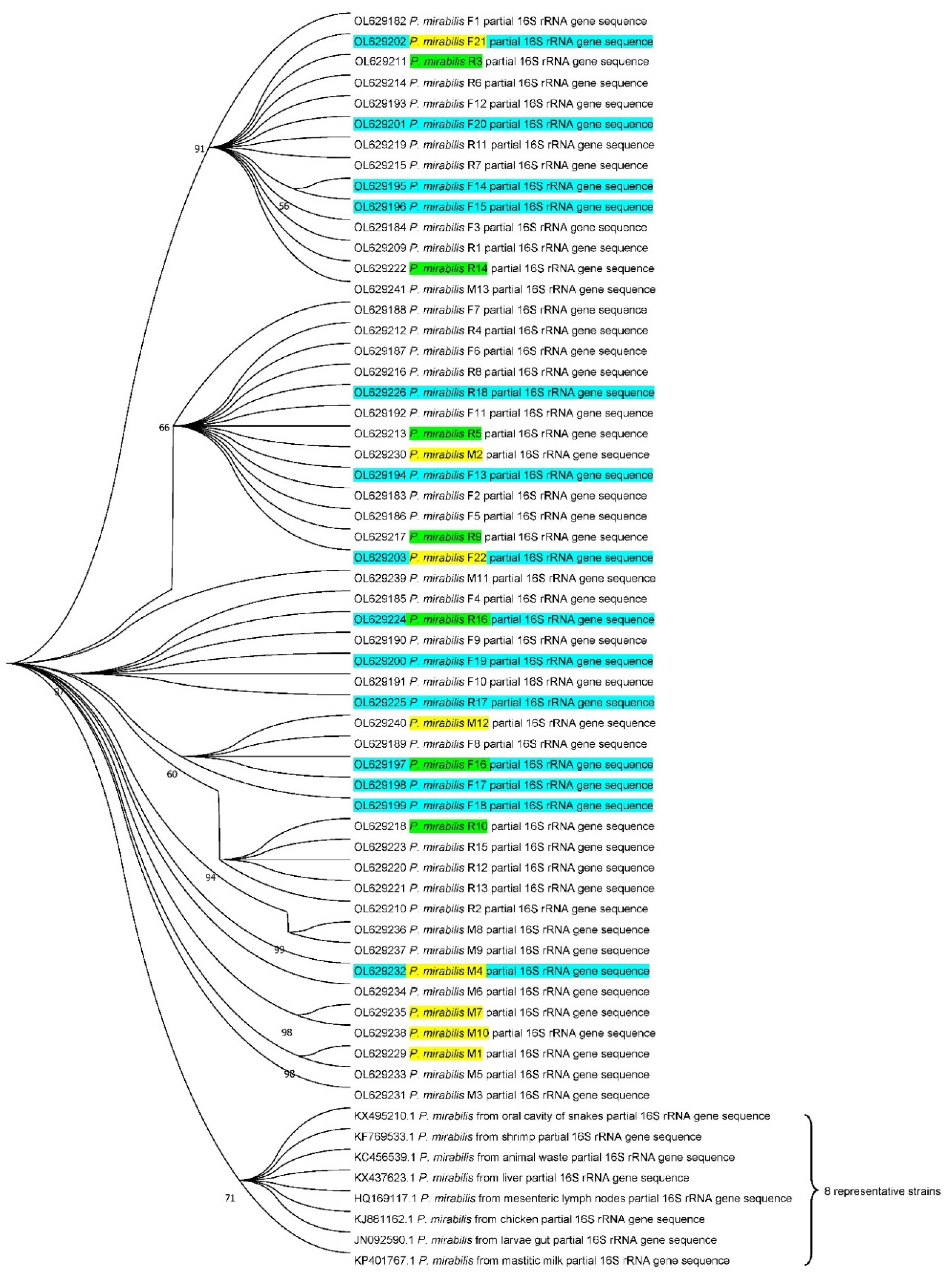Biology 11 00292 g005 Biology 11 00292 g005