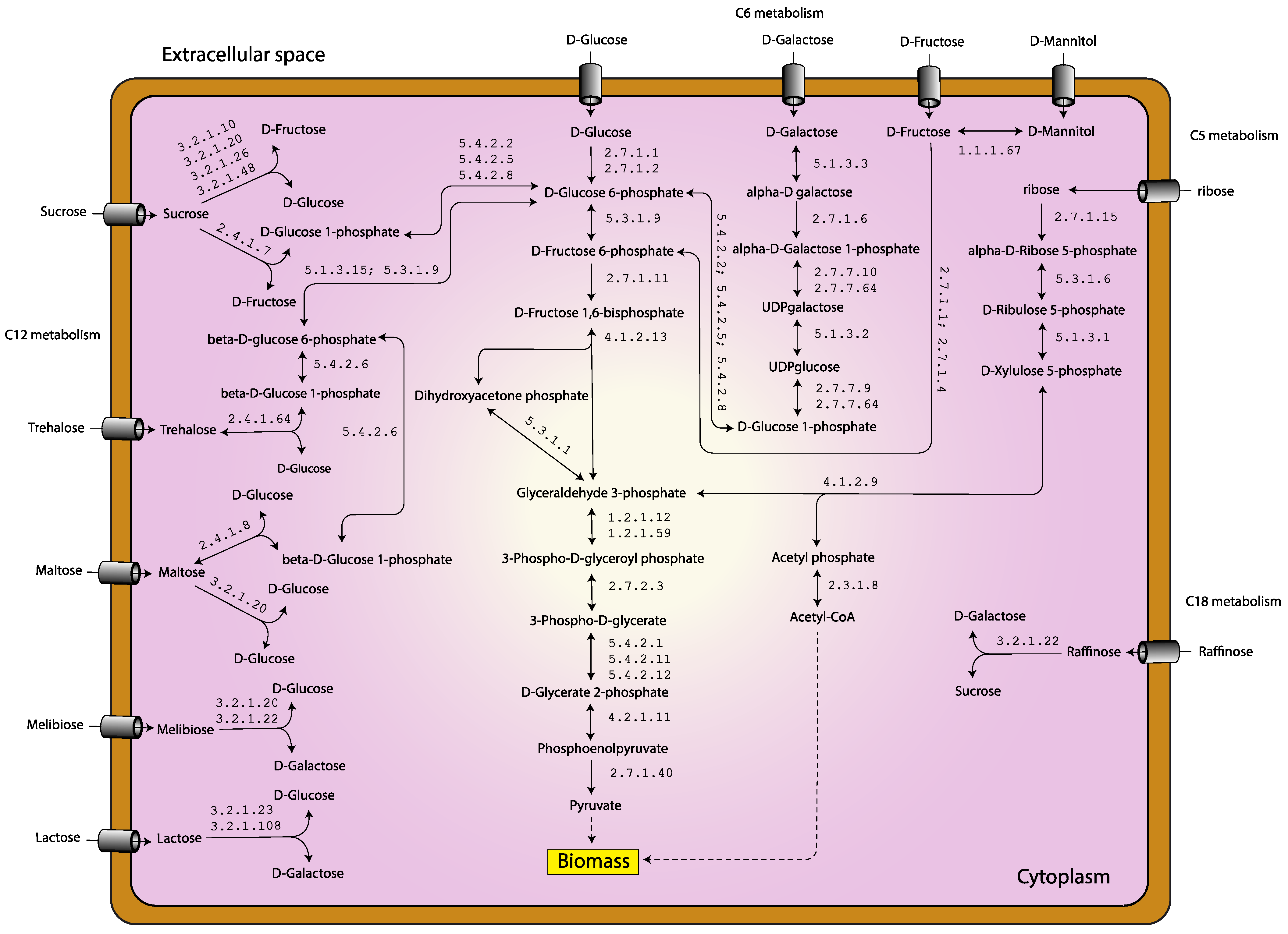 Biology 11 00294 g002
