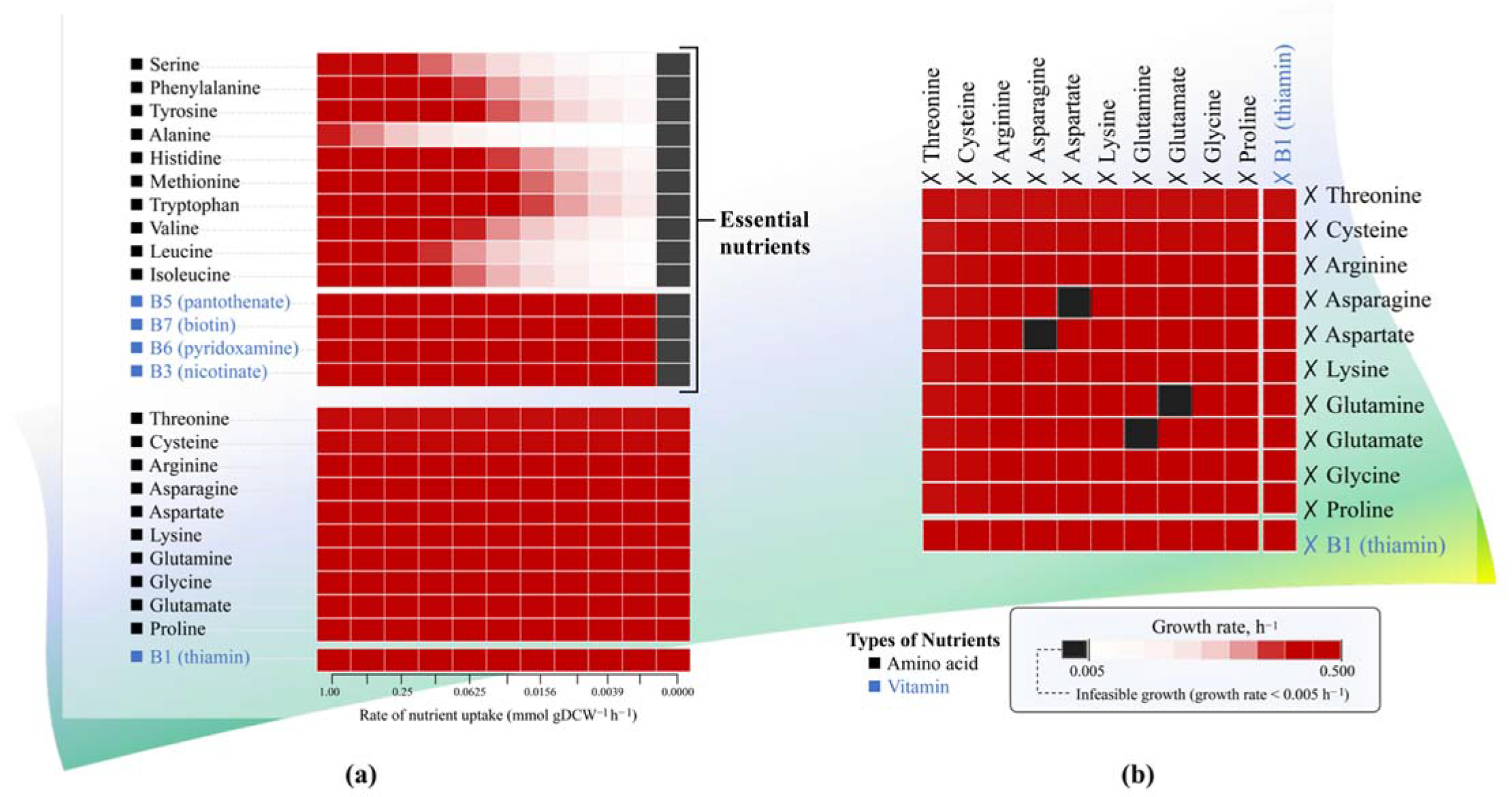 Biology 11 00294 g004
