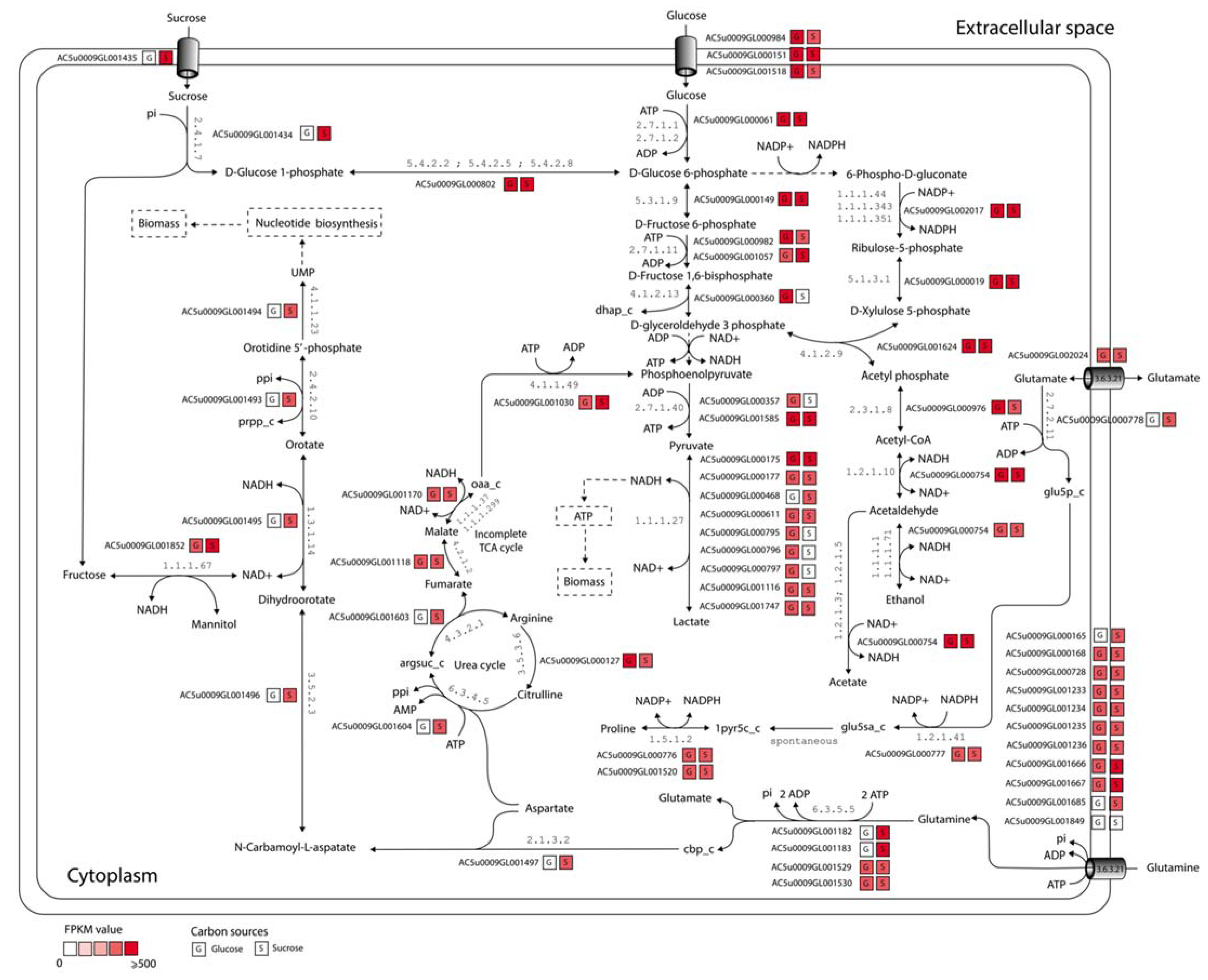 Biology 11 00294 g006