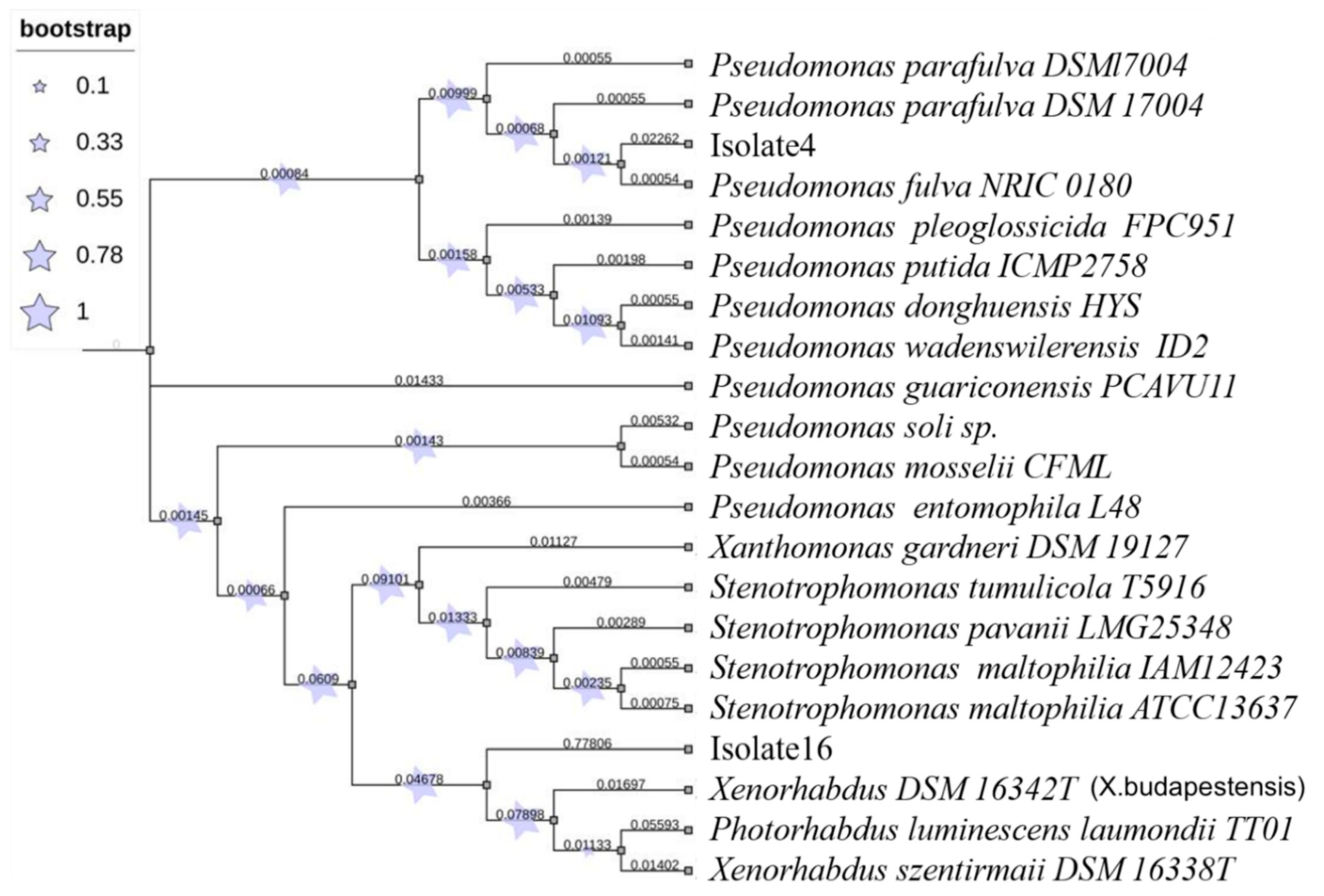 Biology 11 00295 g001