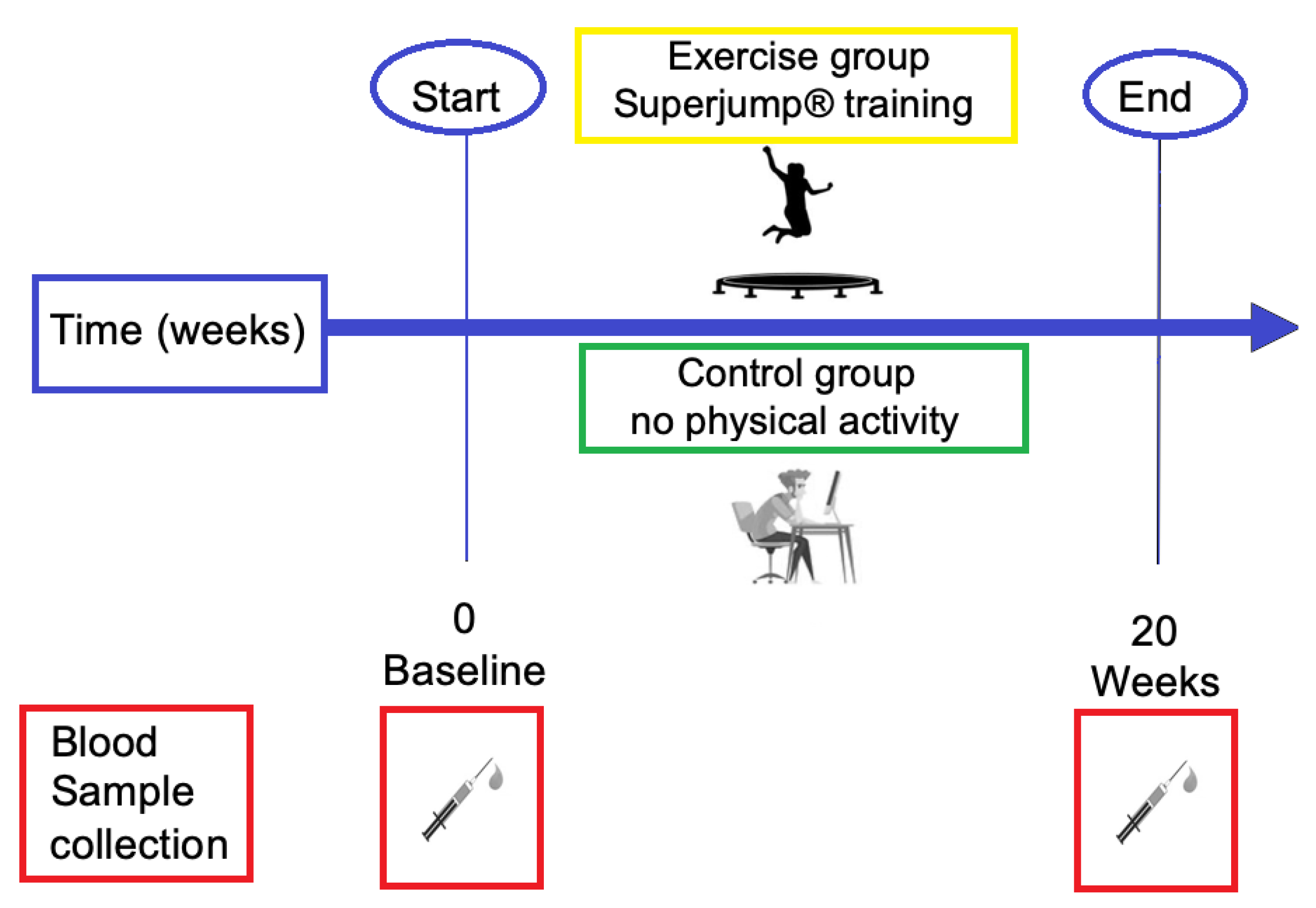 Biology 11 00296 g001 Biology 11 00296 g001