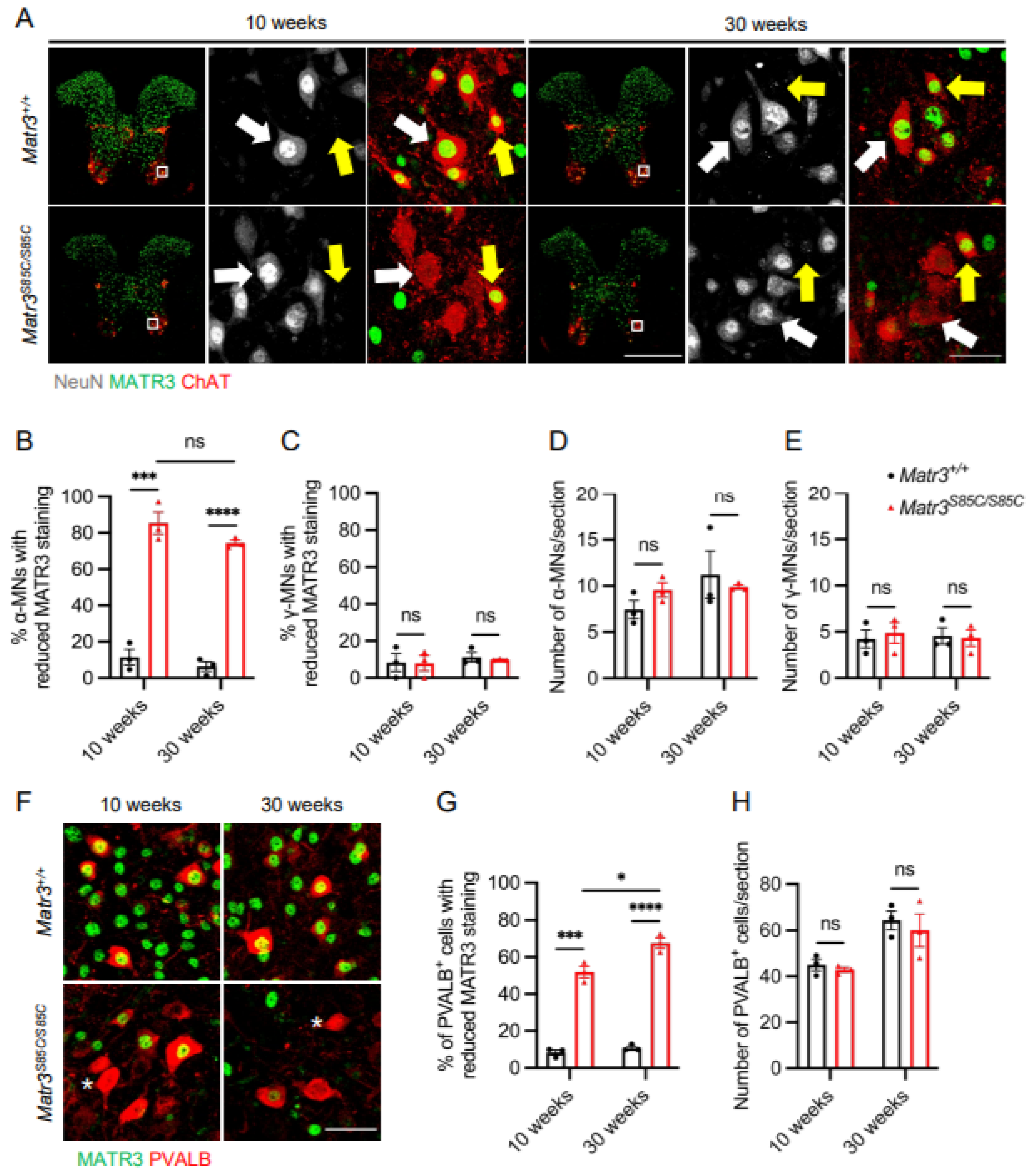 Biology 11 00298 g002 550