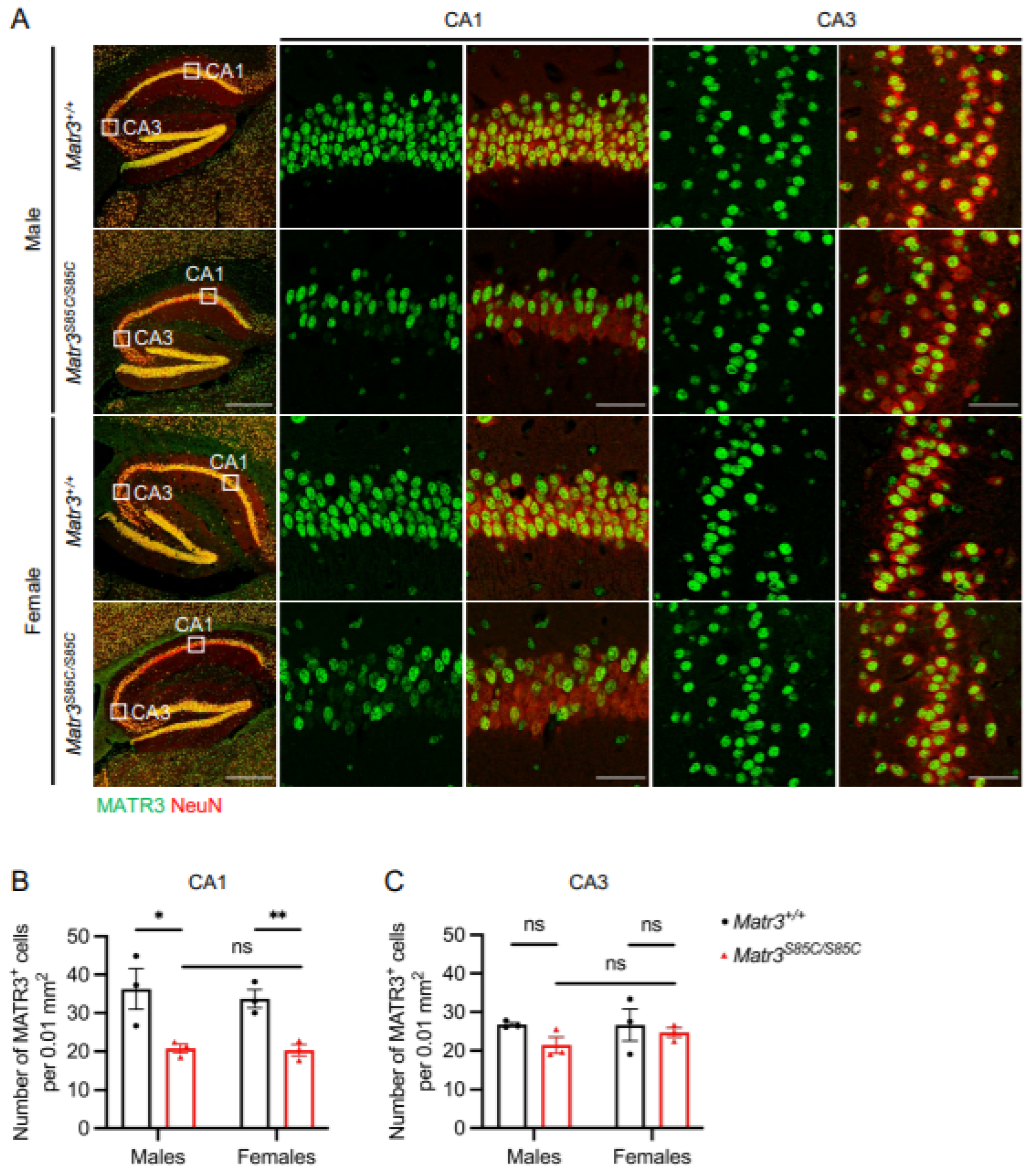 Biology 11 00298 g004 550