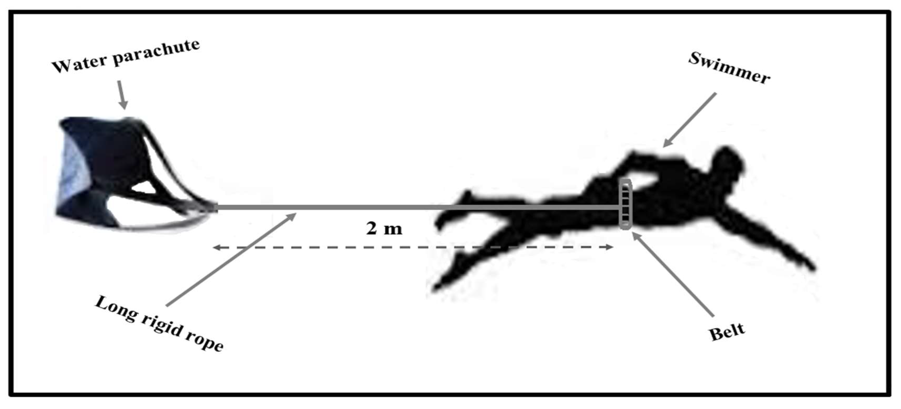 Biology 11 00299 g002 550