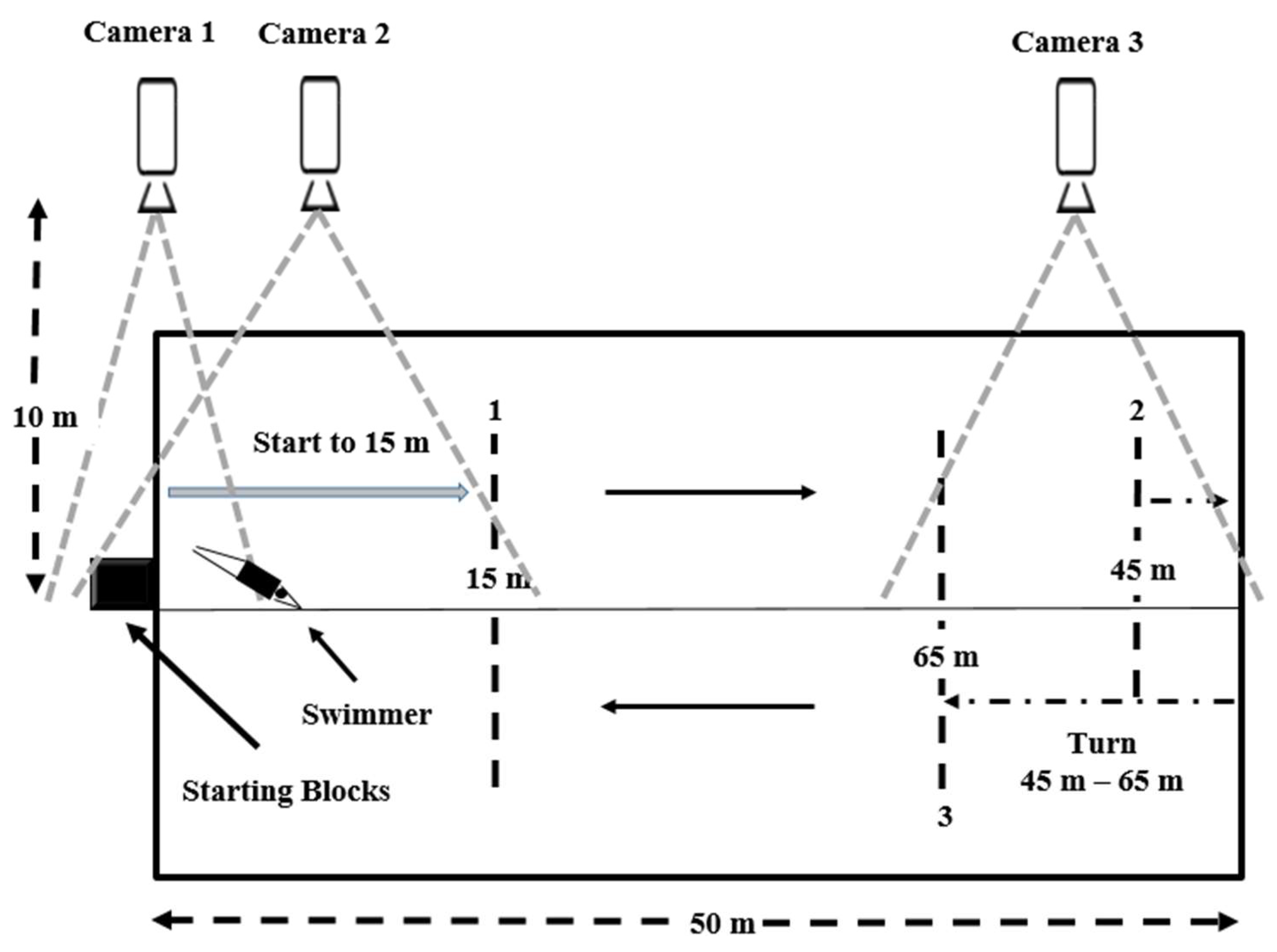 Biology 11 00299 g003 550