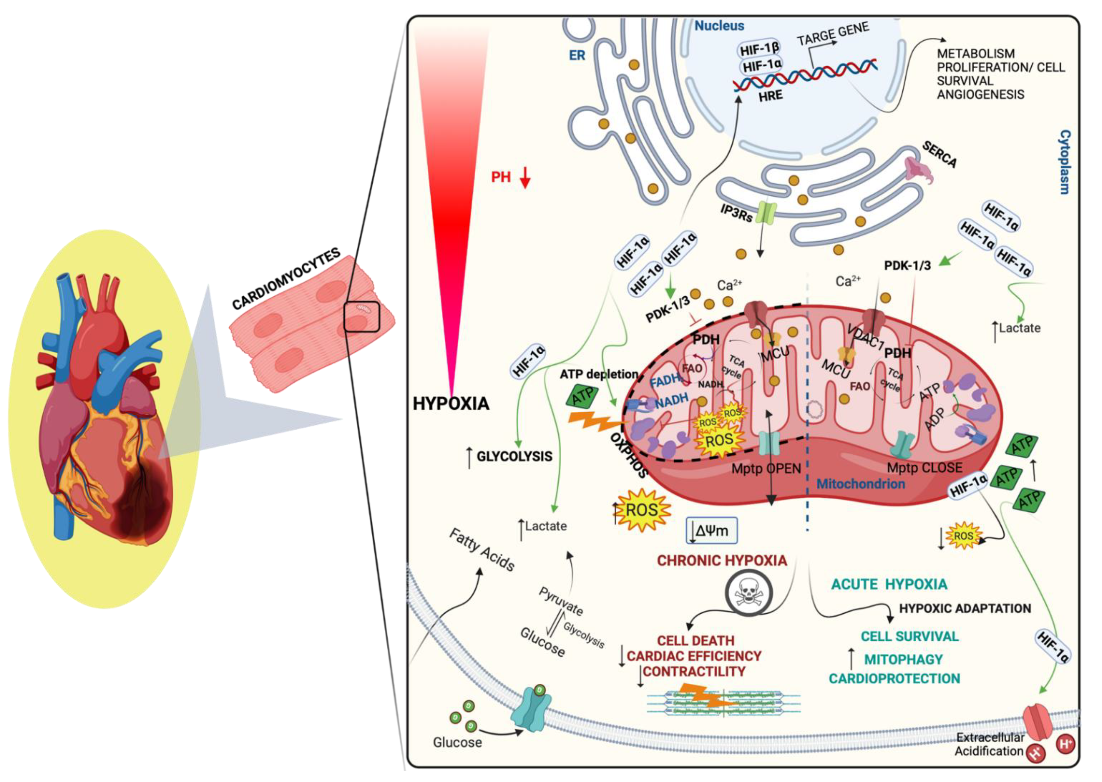 Biology 11 00300 g002