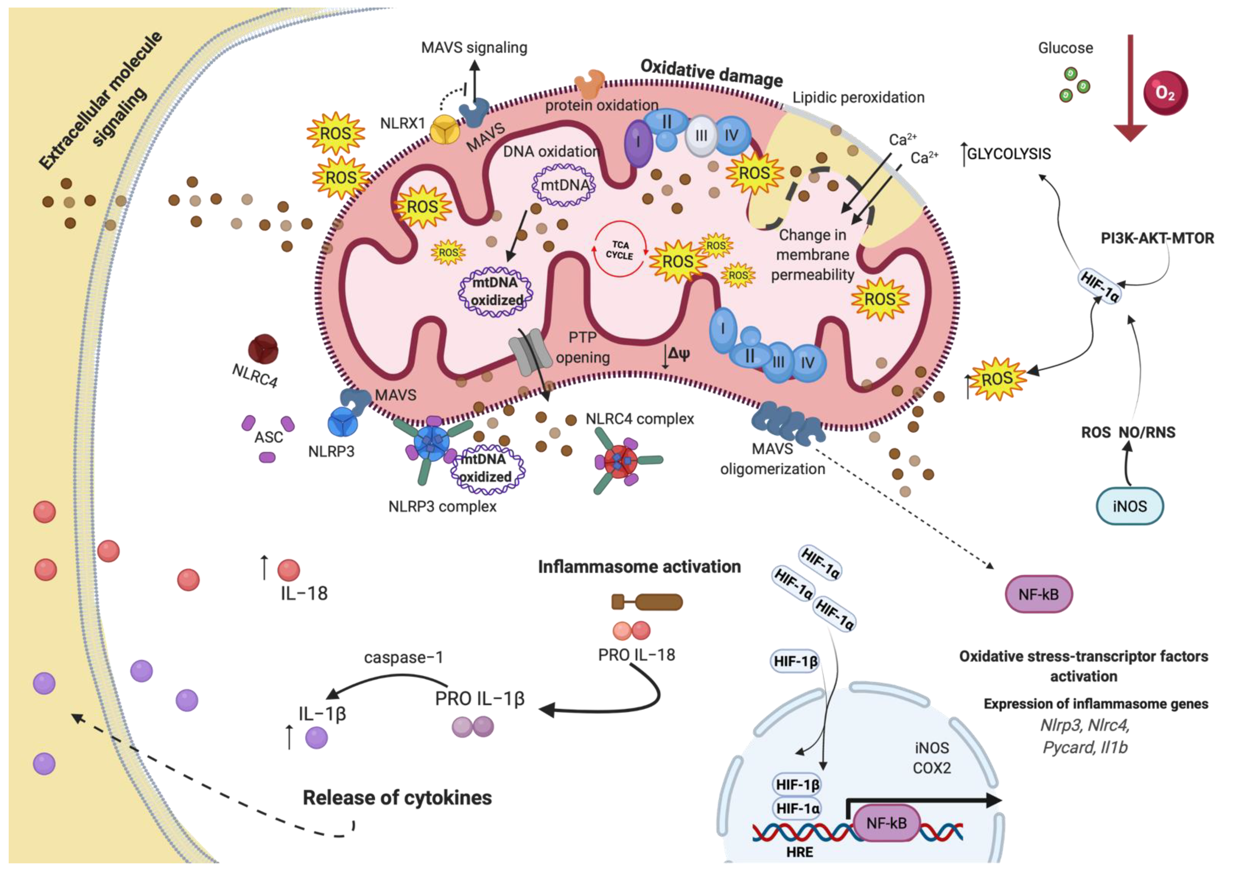 Biology 11 00300 g003