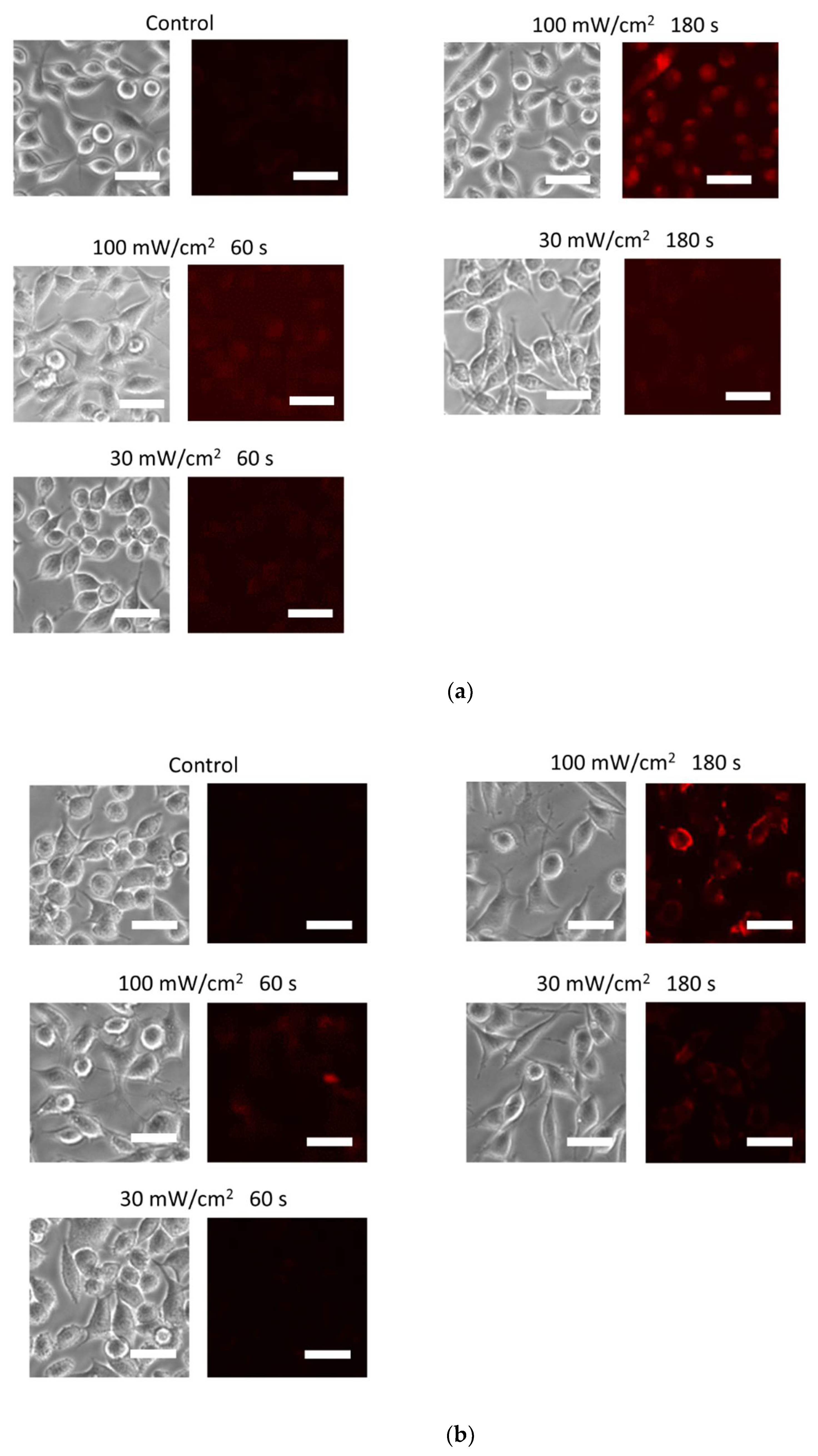 Biology 11 00301 g002a