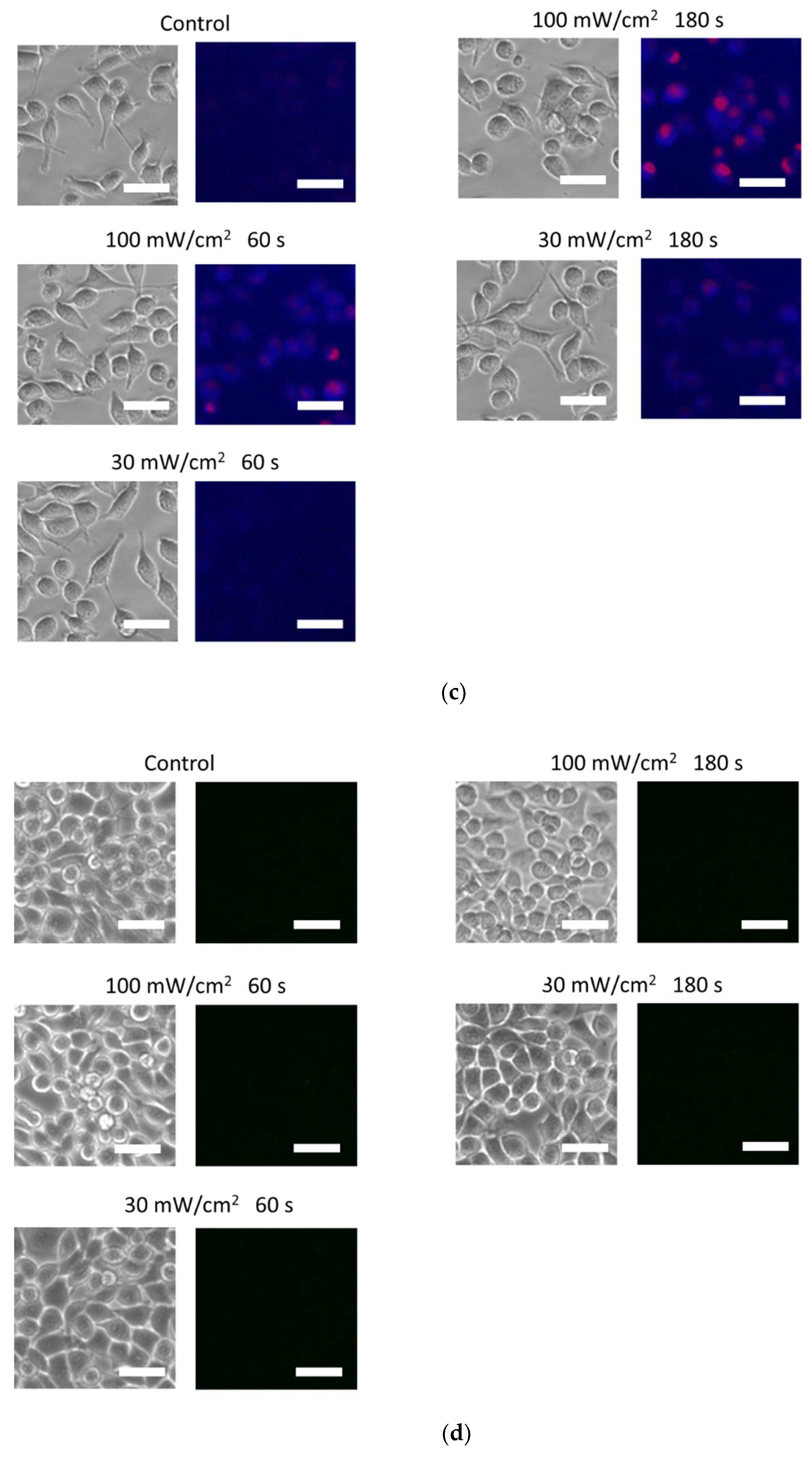 Biology 11 00301 g002b