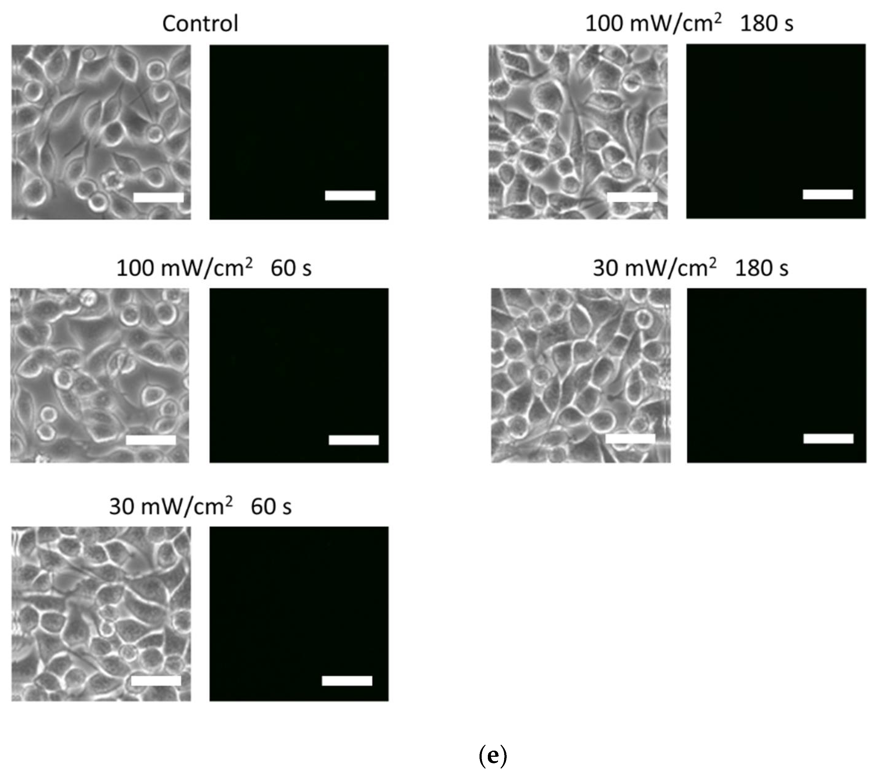 Biology 11 00301 g002c