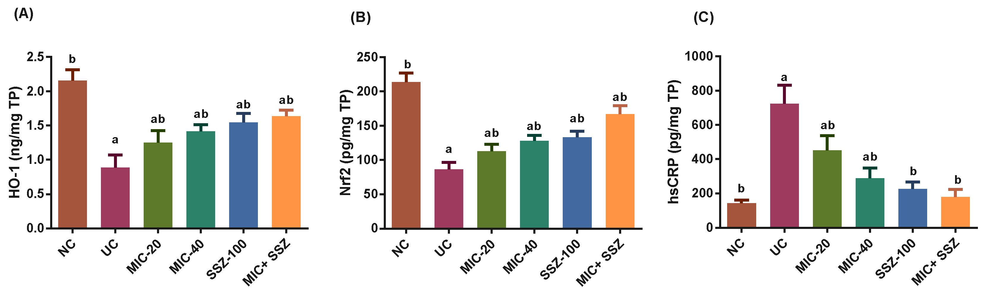 Biology 11 00303 g002 550