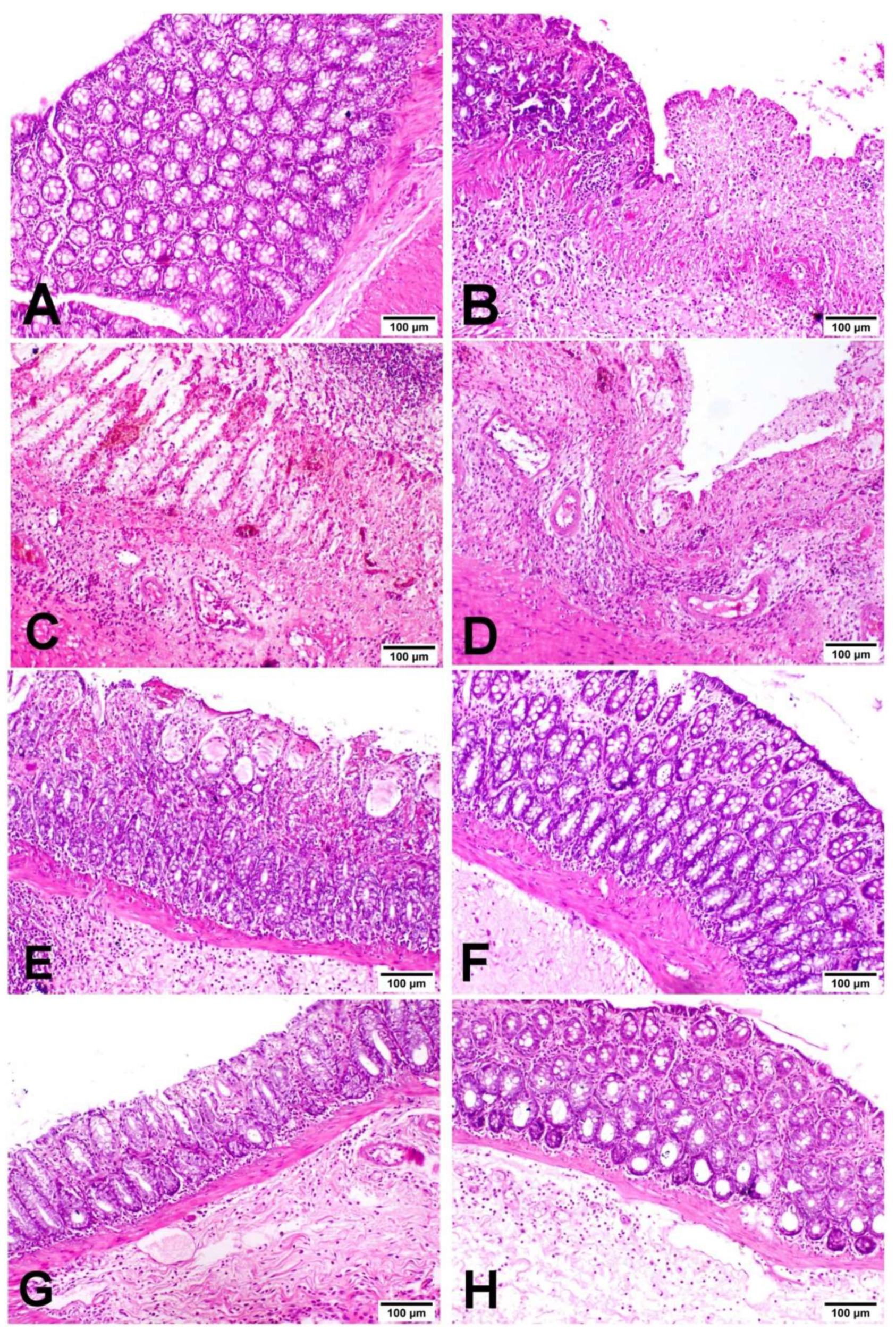 Biology 11 00303 g003 550