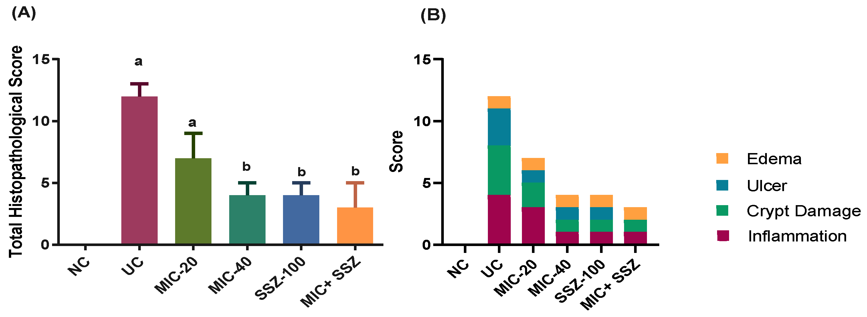 Biology 11 00303 g004 550