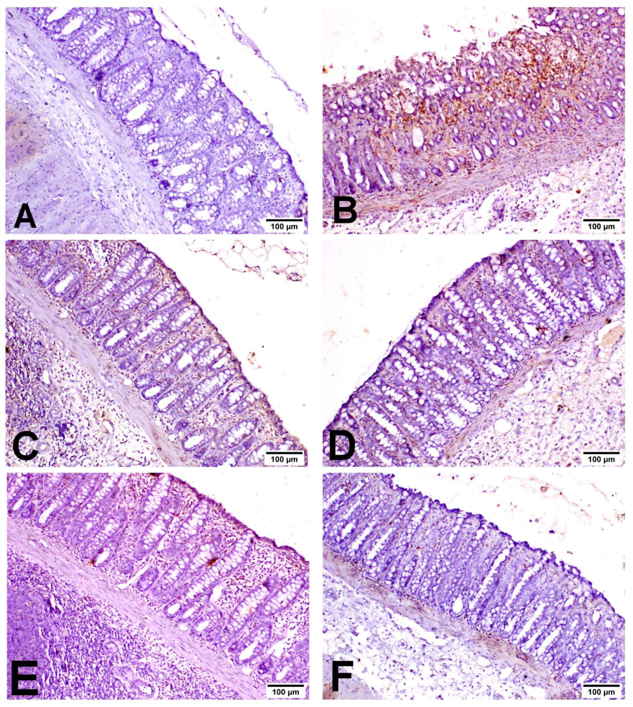 Biology 11 00303 g006 550