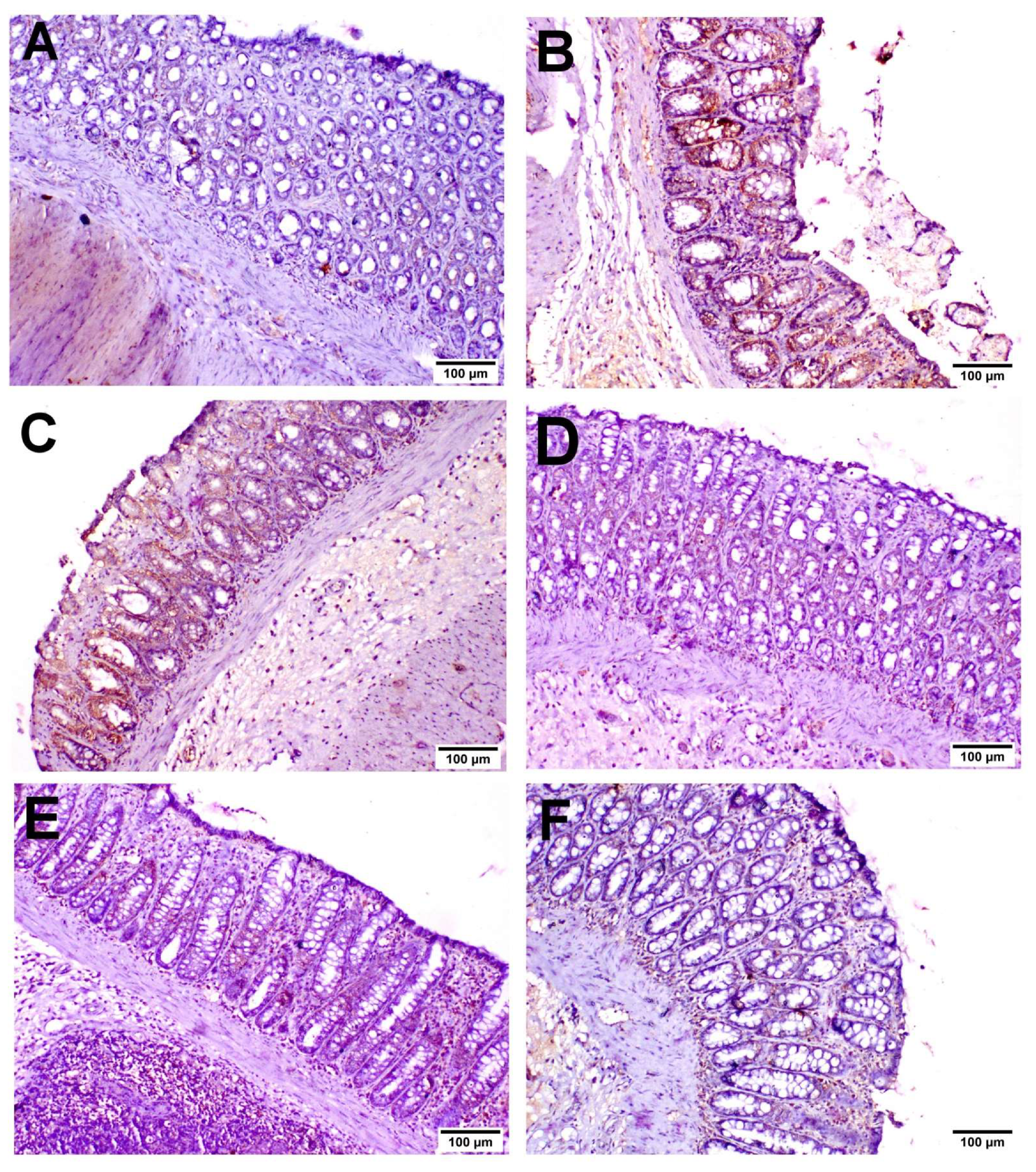 Biology 11 00303 g007 550