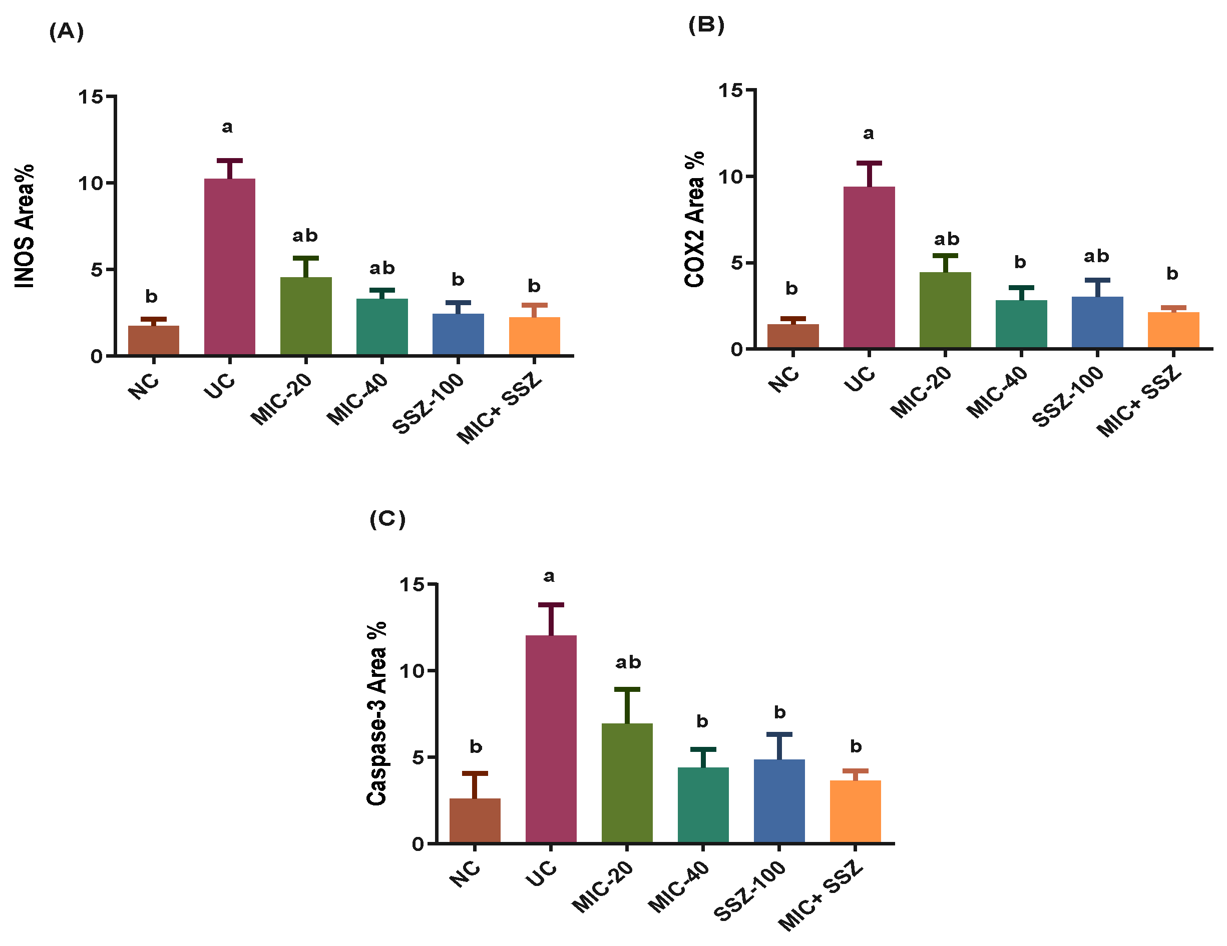 Biology 11 00303 g008 550