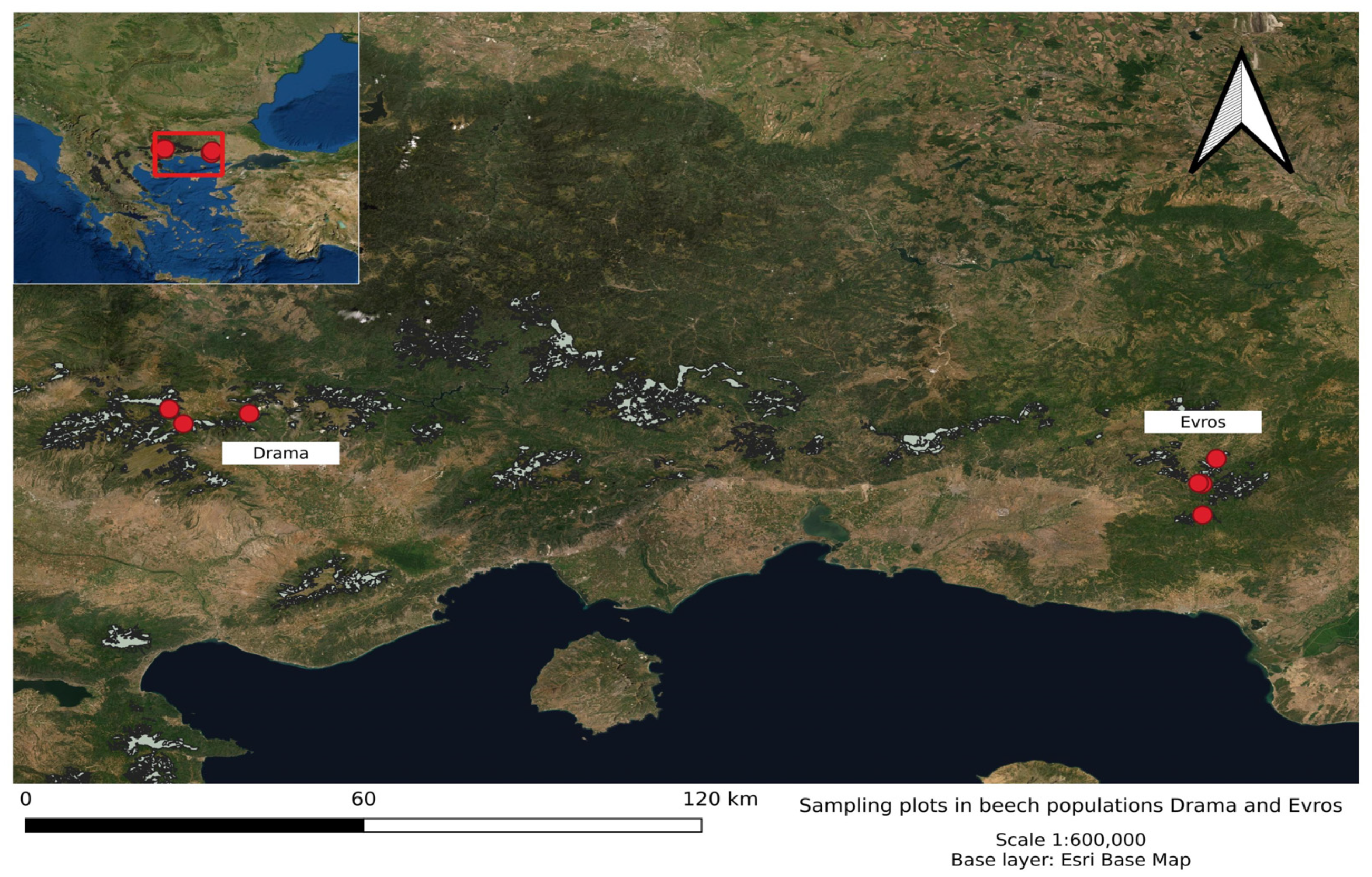 Biology 11 00306 g001