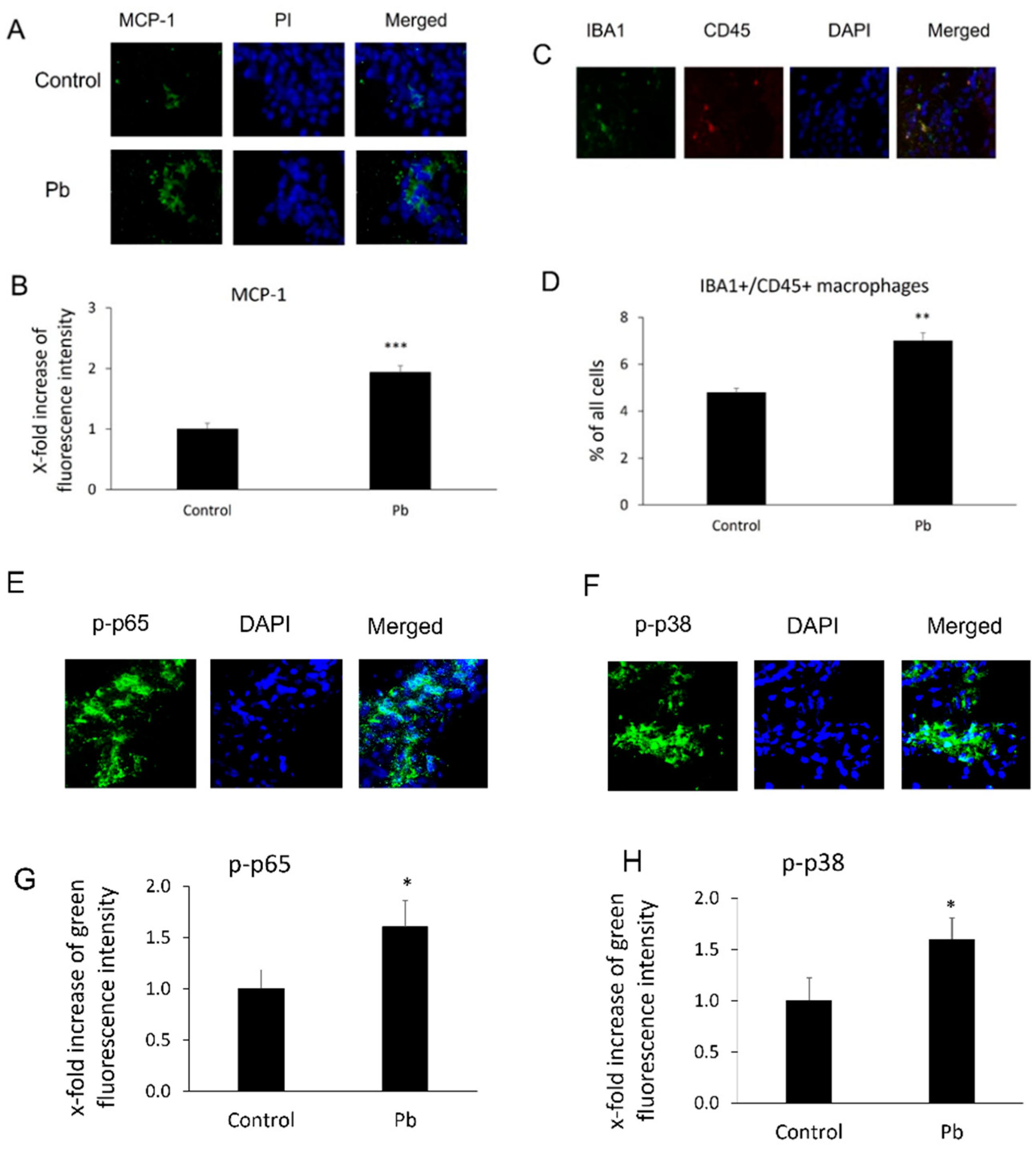 Biology 11 00308 g001 Biology 11 00308 g001