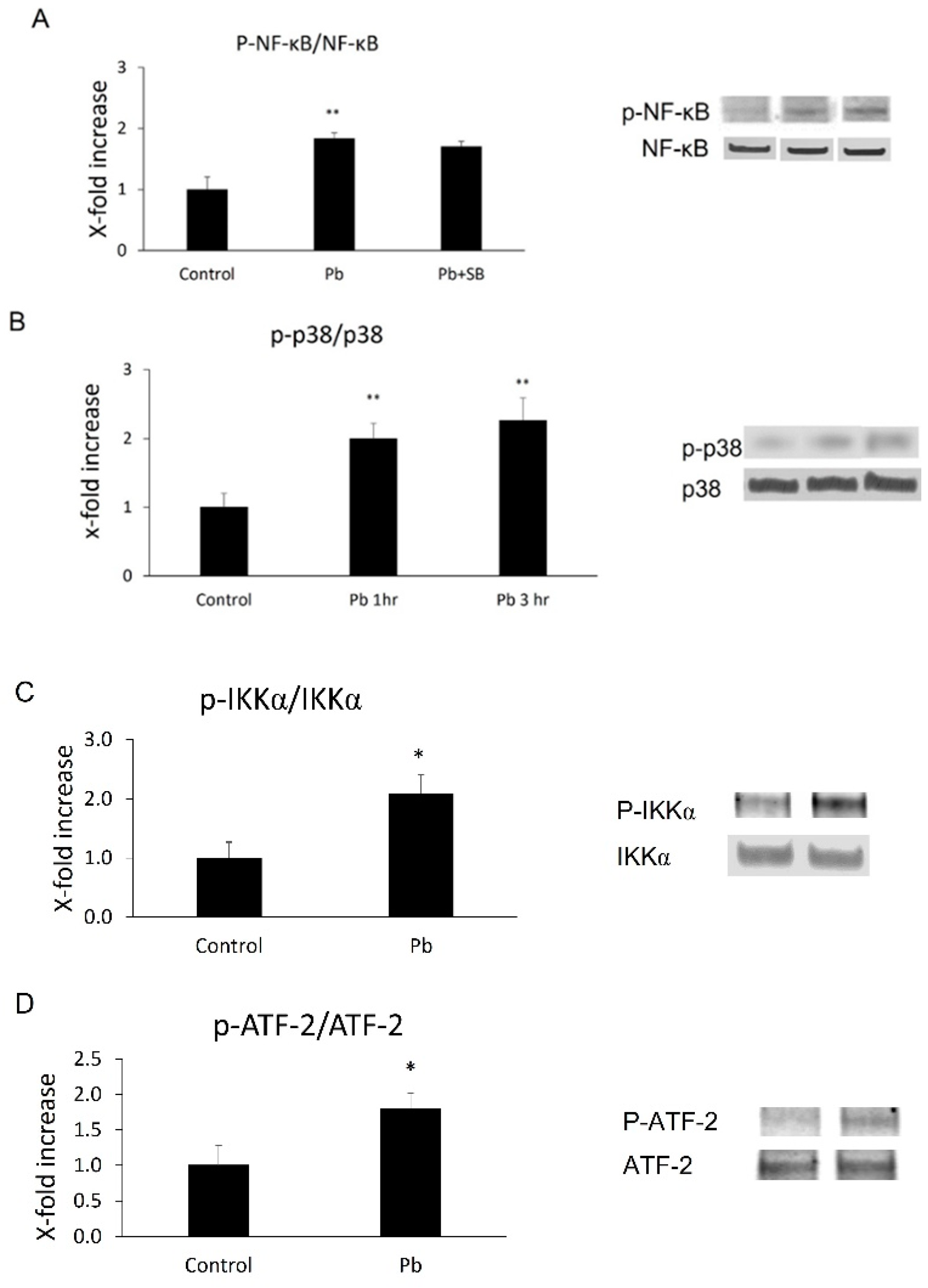 Biology 11 00308 g003 Biology 11 00308 g003