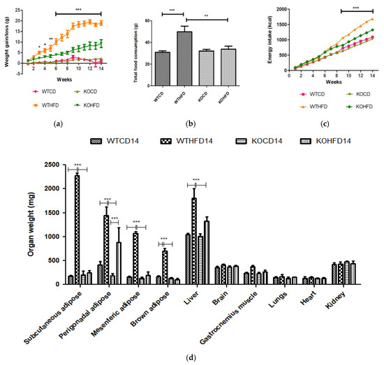 Biology Free FullText Slc7a8 Deletion Is Protective Biology Free FullText Slc7a8 Deletion Is Protective