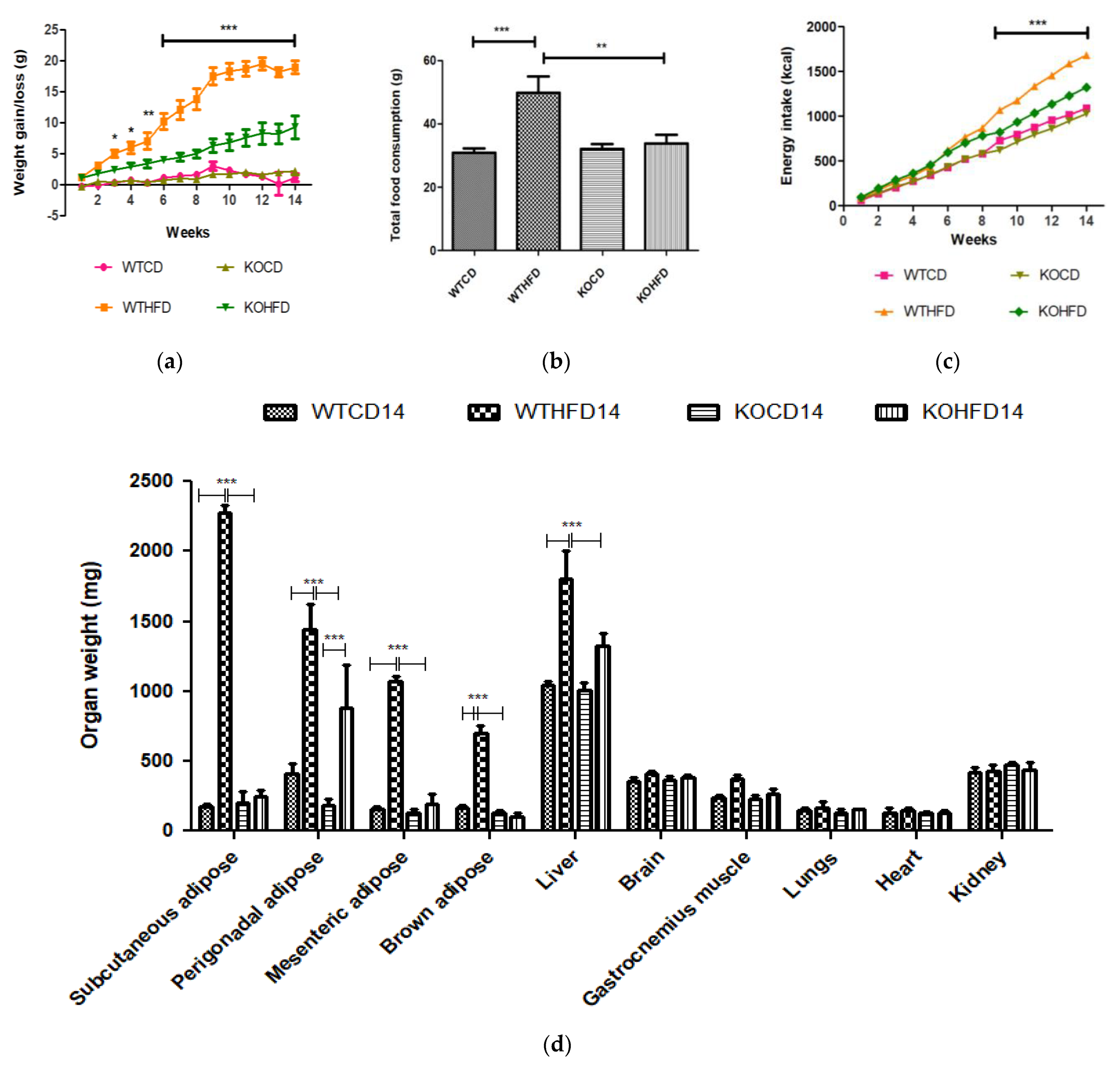 Biology 11 00311 g001