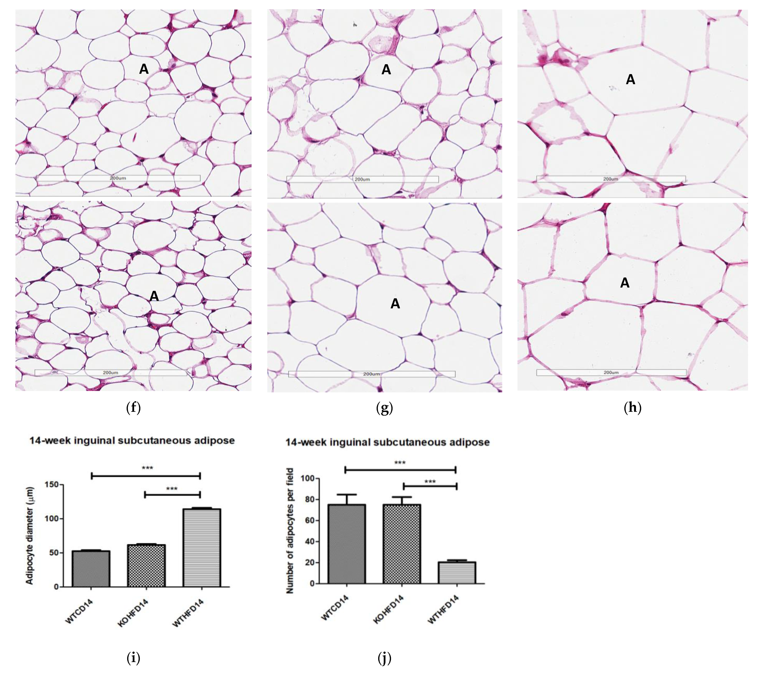 Biology 11 00311 g004b