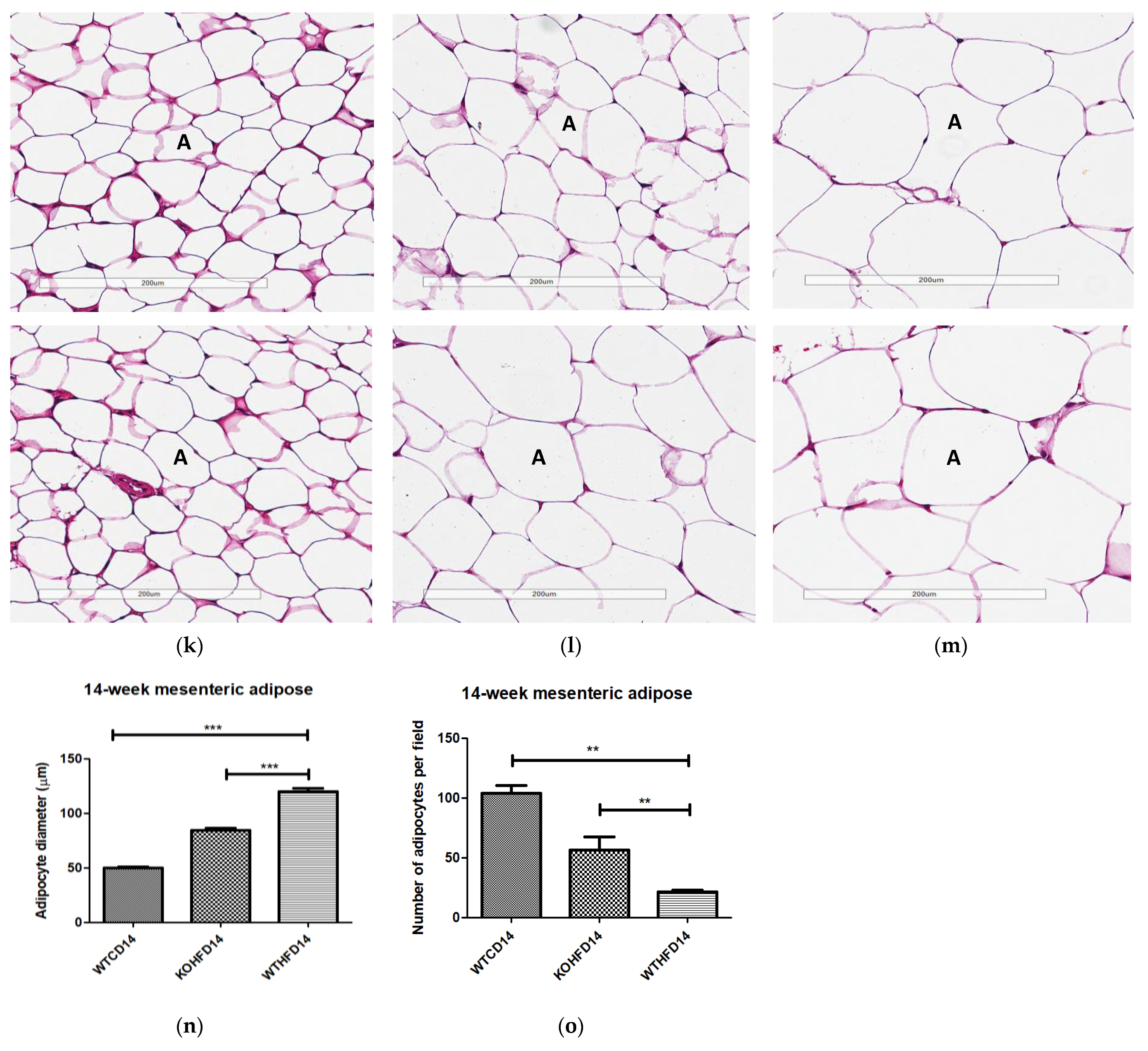 Biology 11 00311 g004c