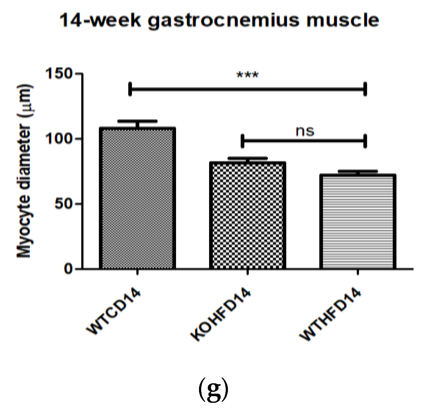 Biology 11 00311 g006b