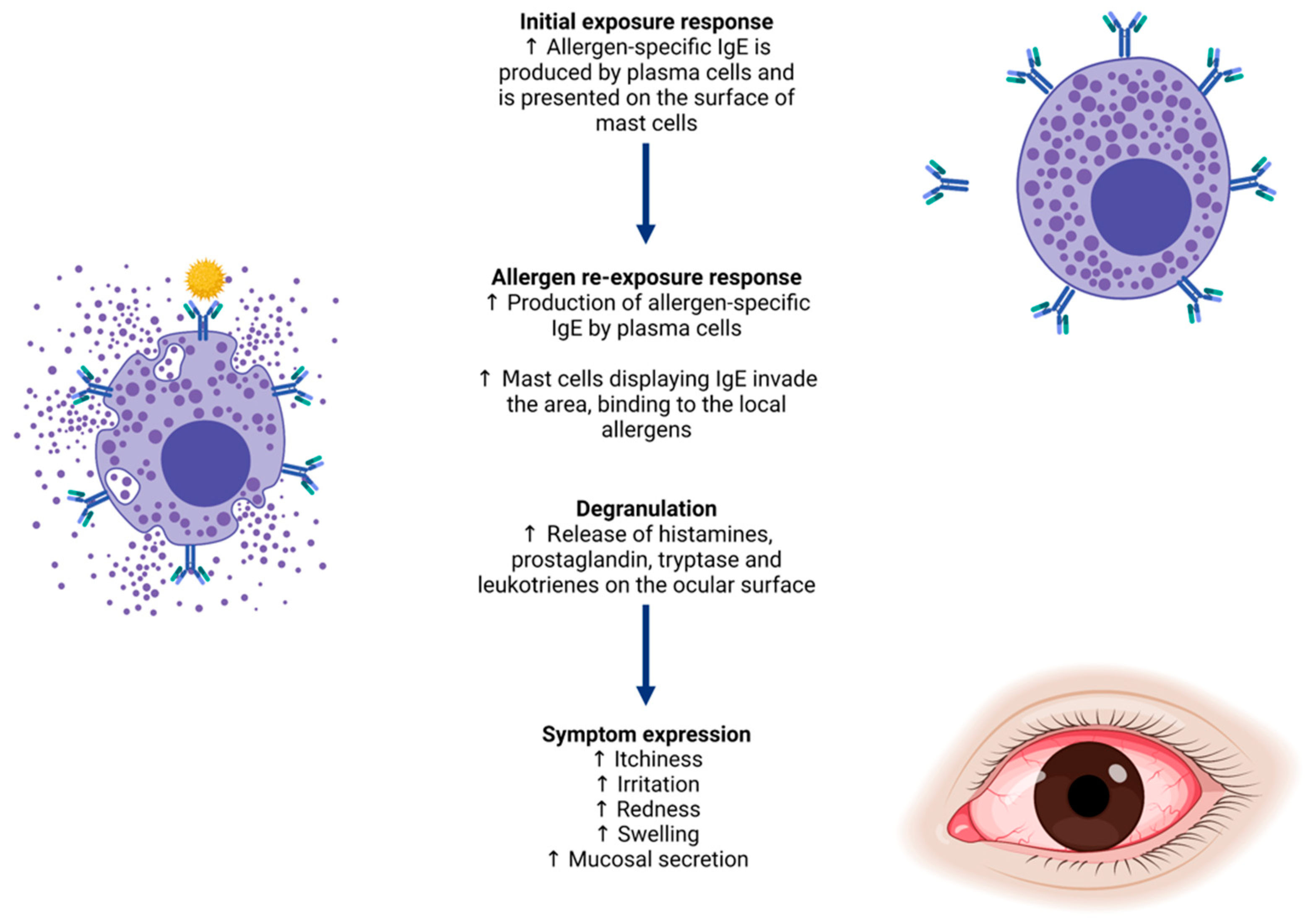 Biology 11 00312 g001 Biology 11 00312 g001
