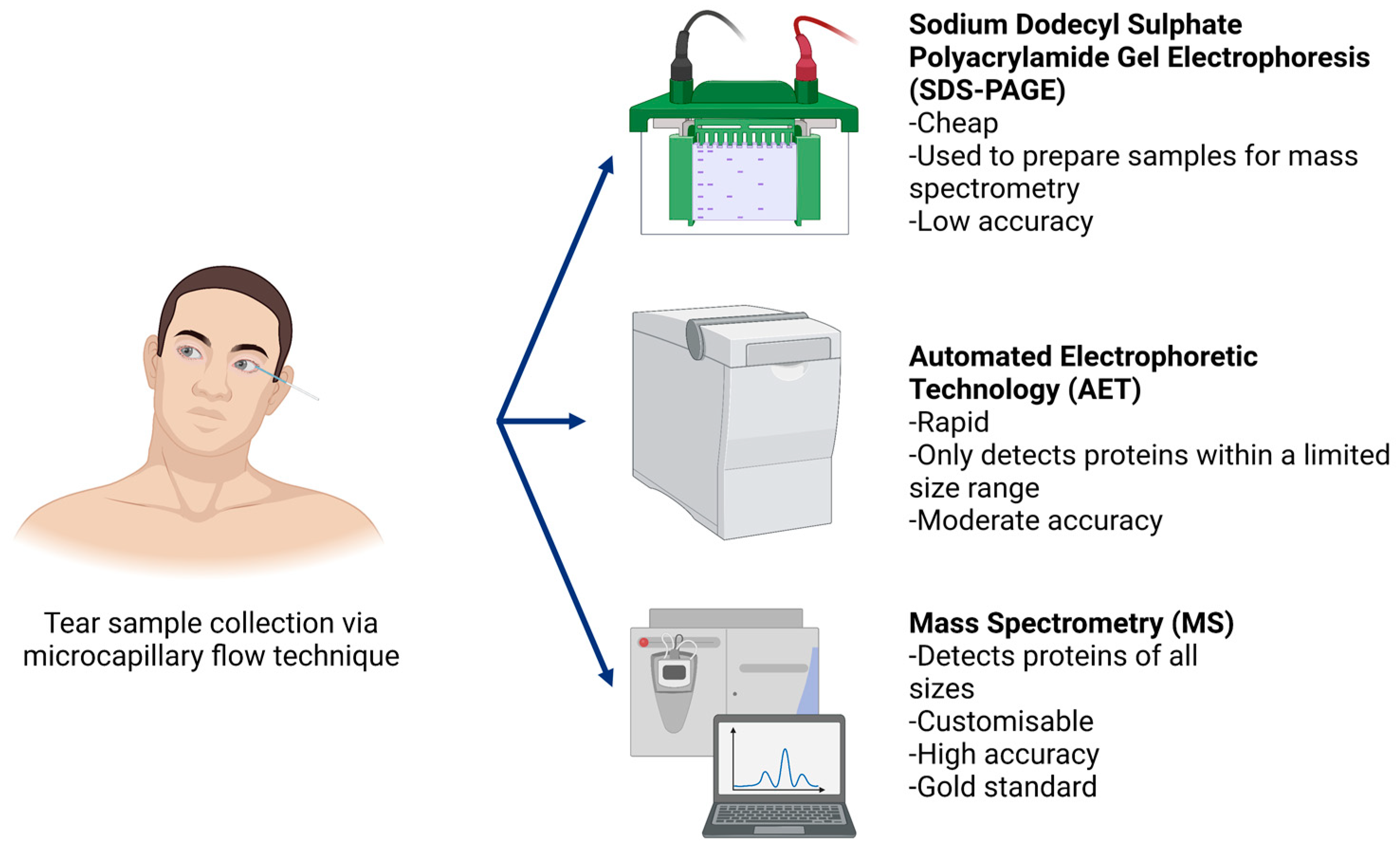 Biology 11 00312 g002 Biology 11 00312 g002