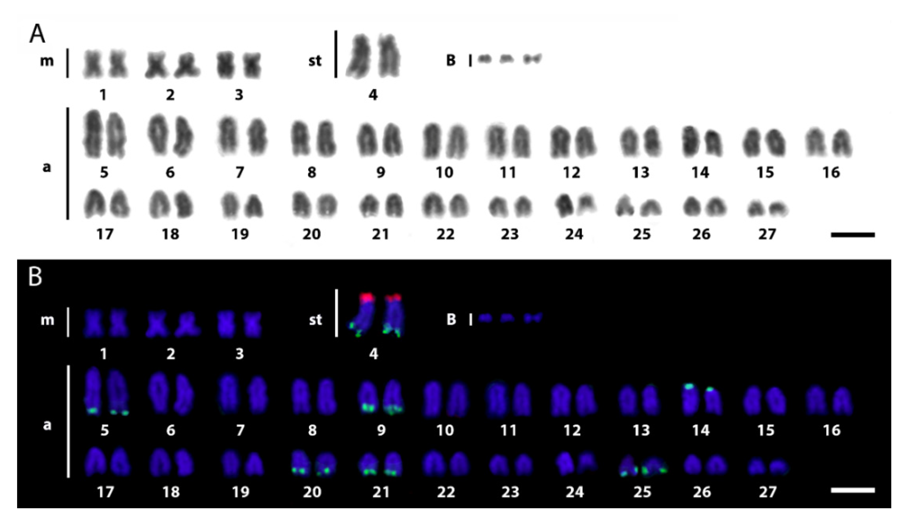 Biology 11 00315 g002
