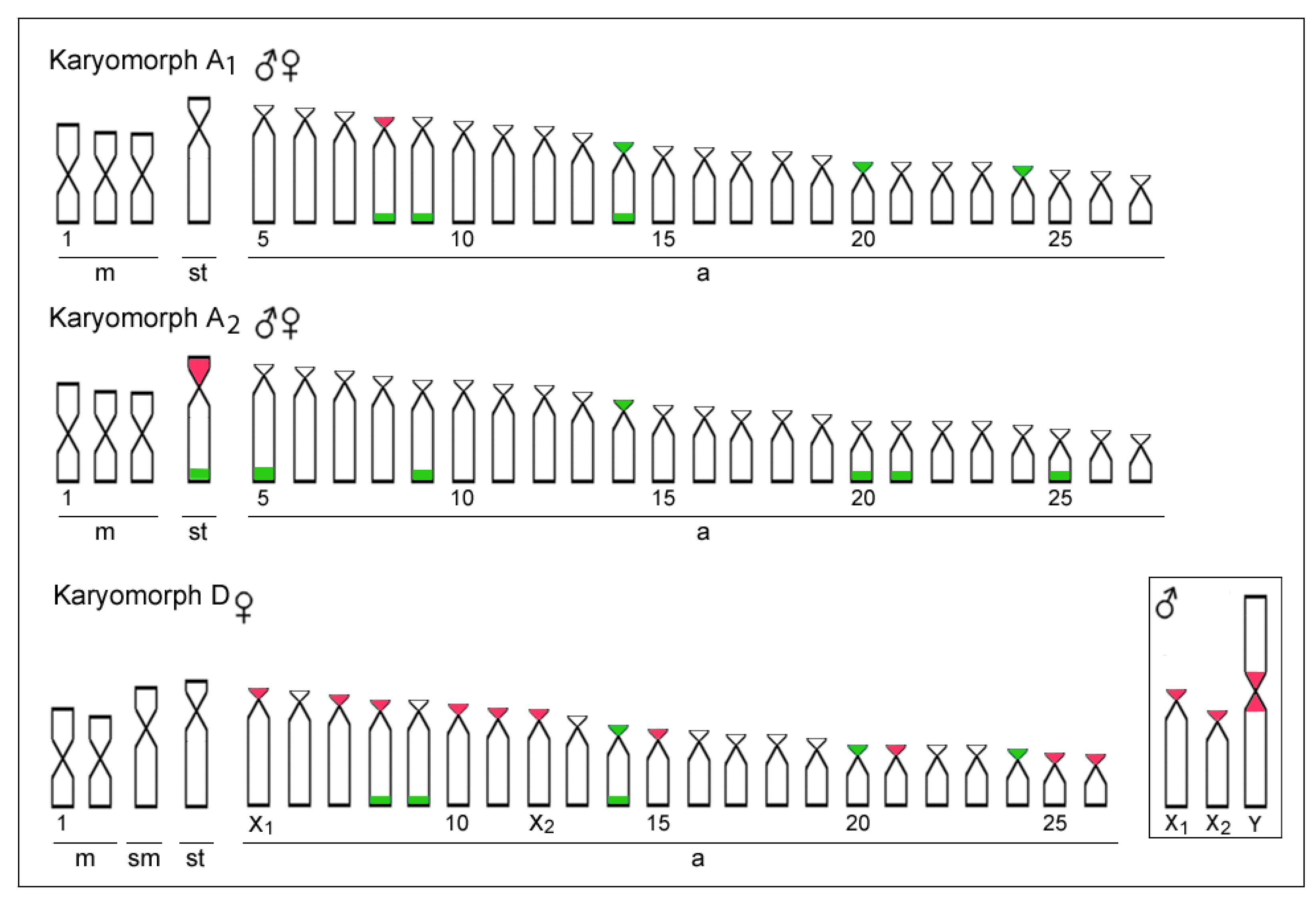 Biology 11 00315 g003