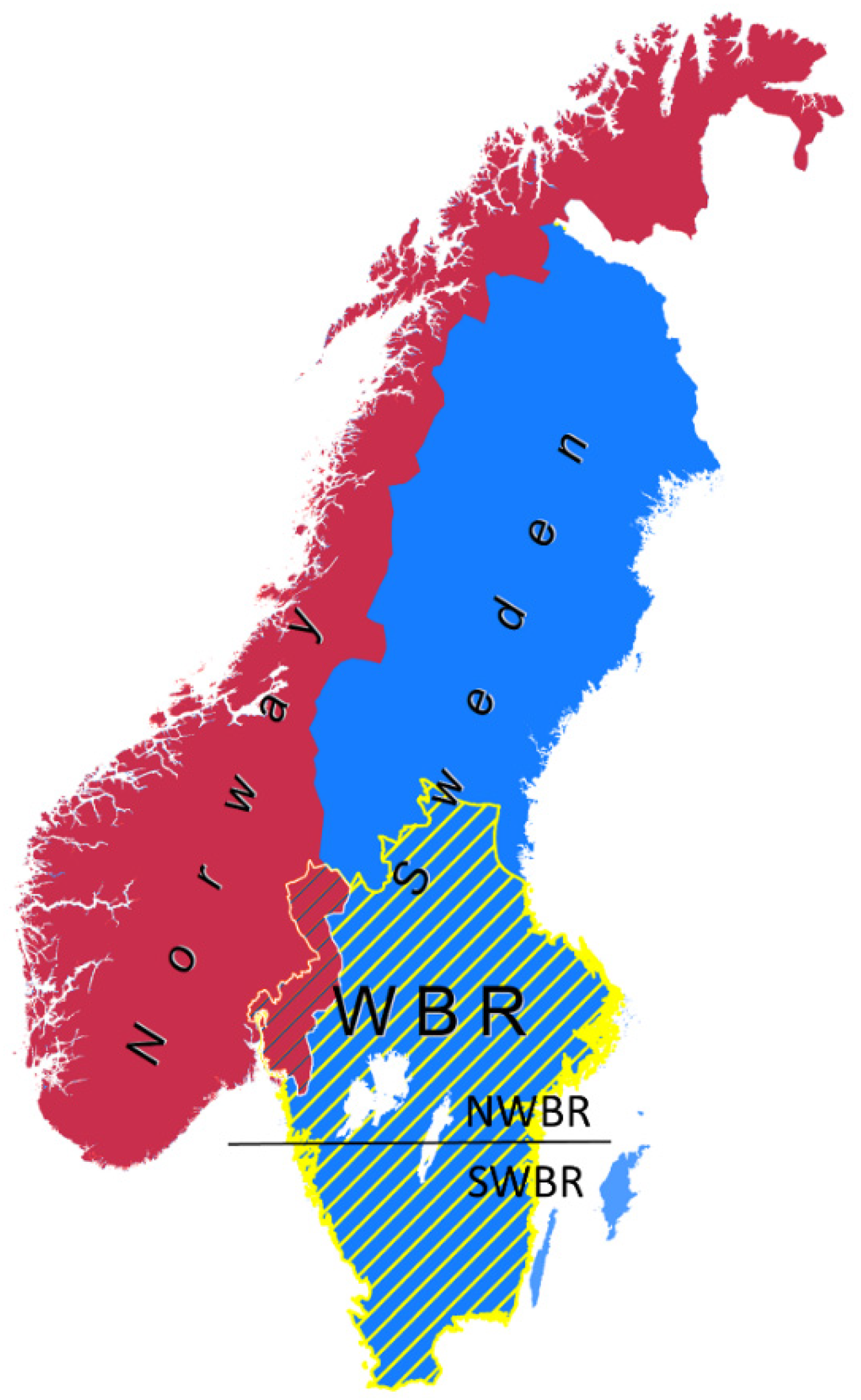 Biology 11 00317 g001