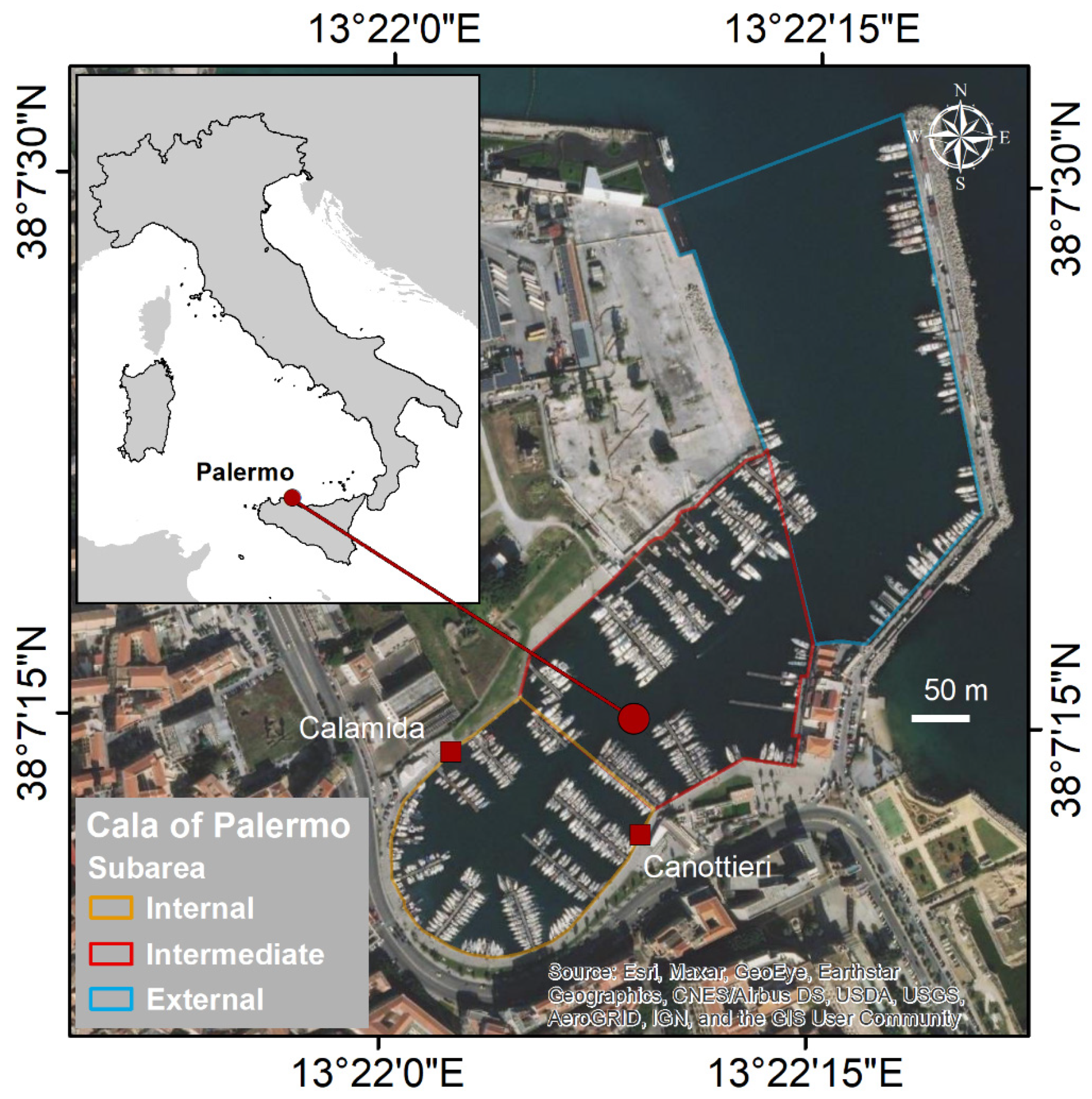 Biology 11 00319 g002