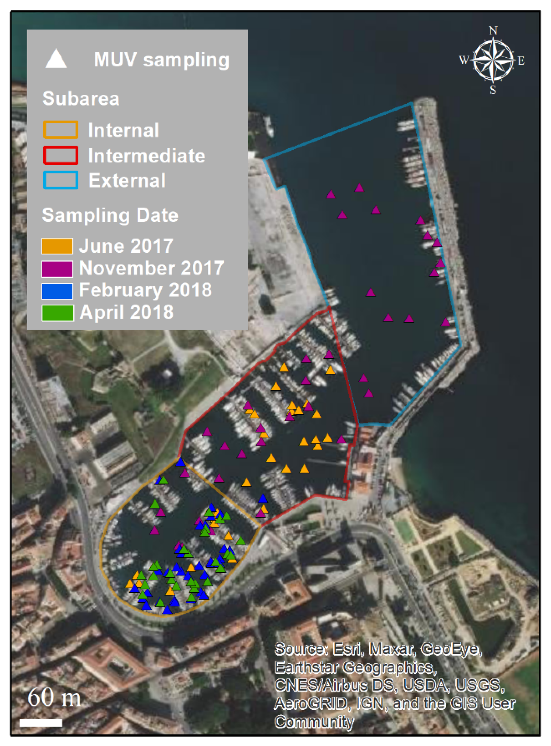 Biology 11 00319 g004