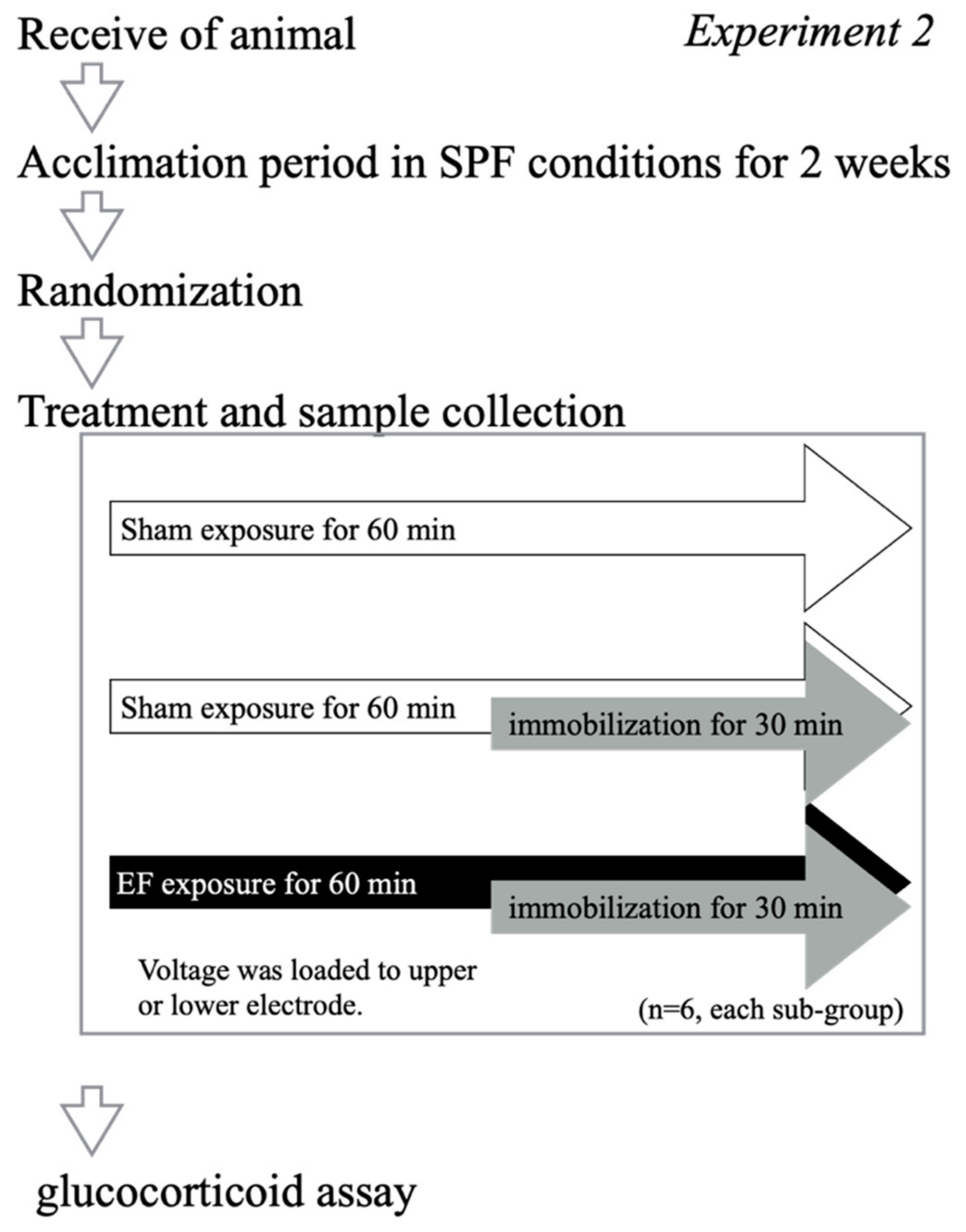 Biology 11 00323 g003 Biology 11 00323 g003