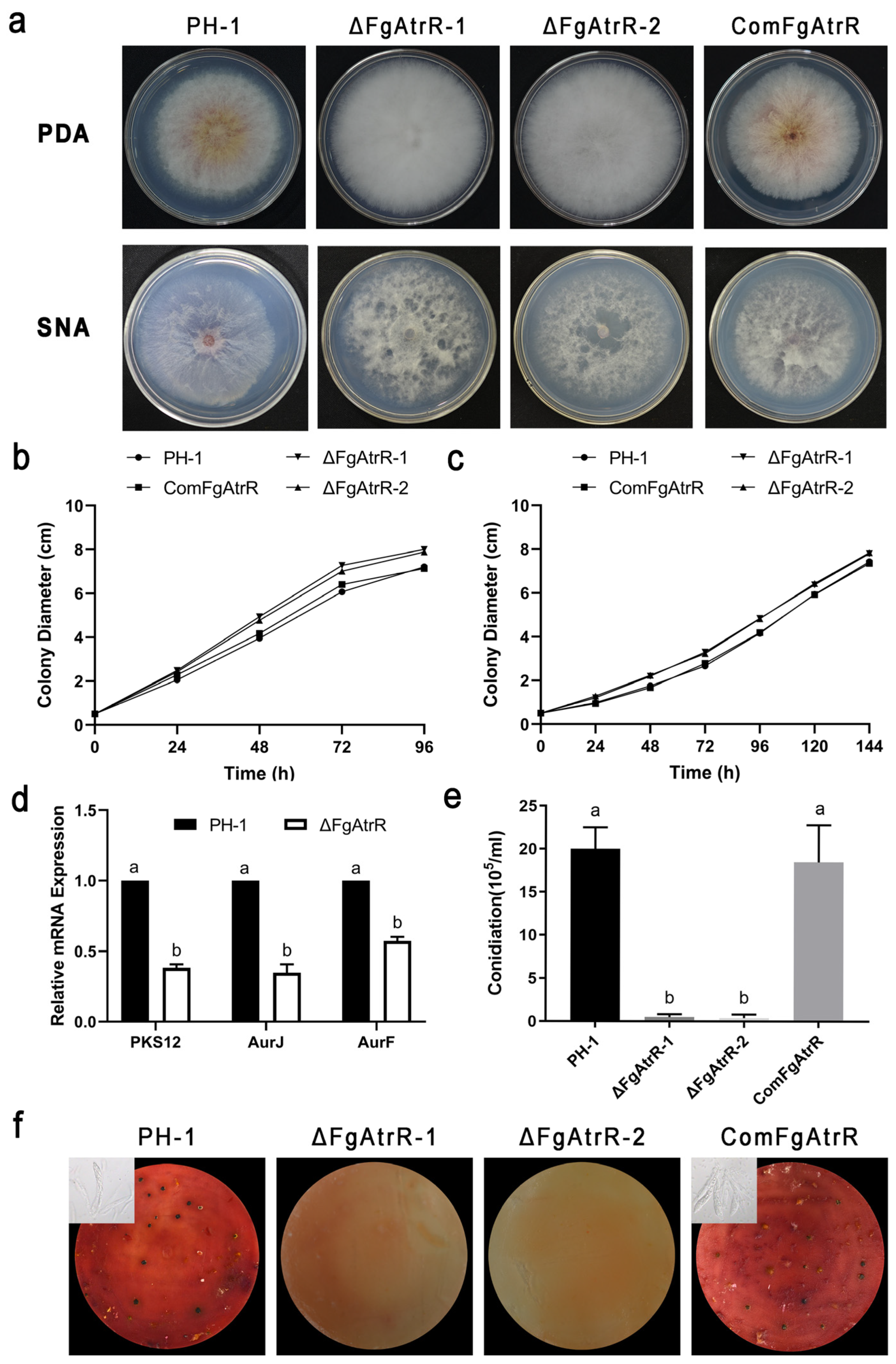 Biology 11 00326 g002 Biology 11 00326 g002