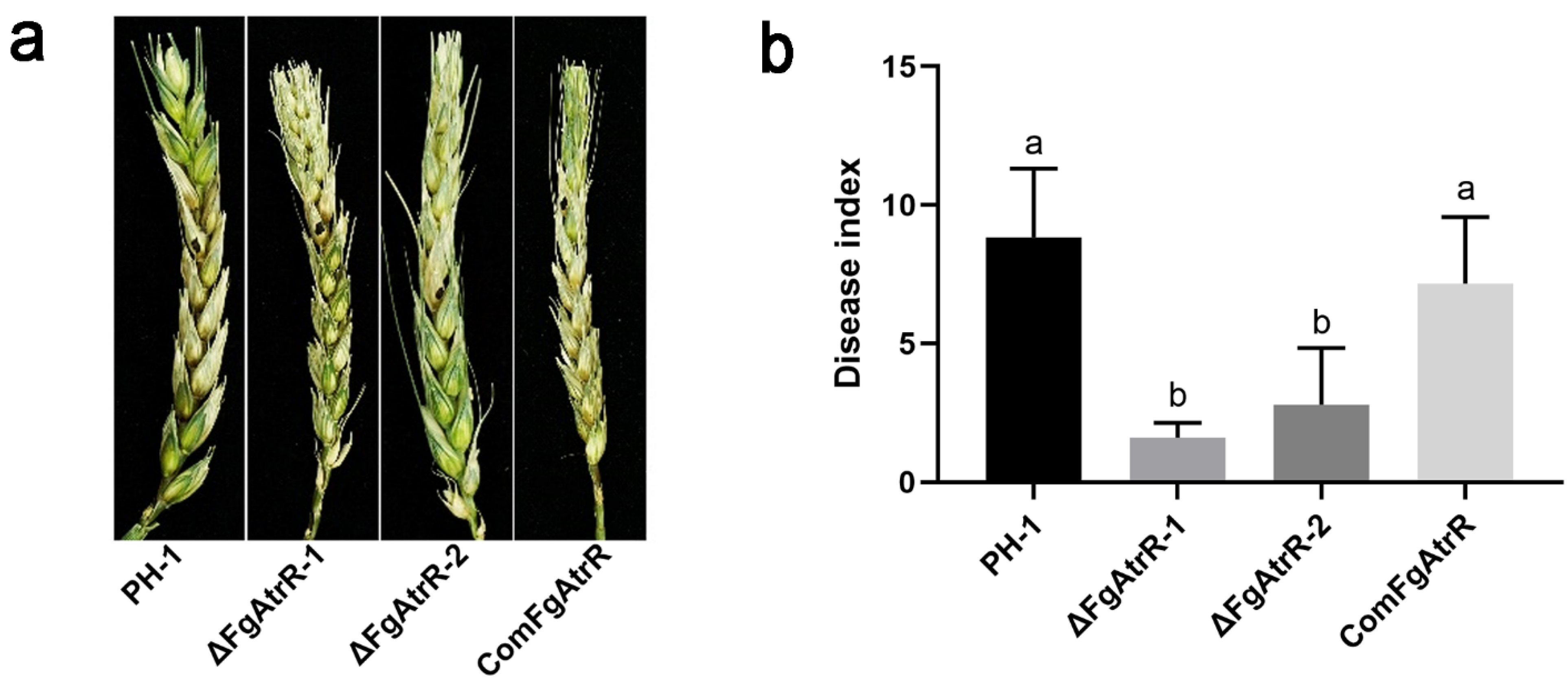Biology 11 00326 g003 Biology 11 00326 g003