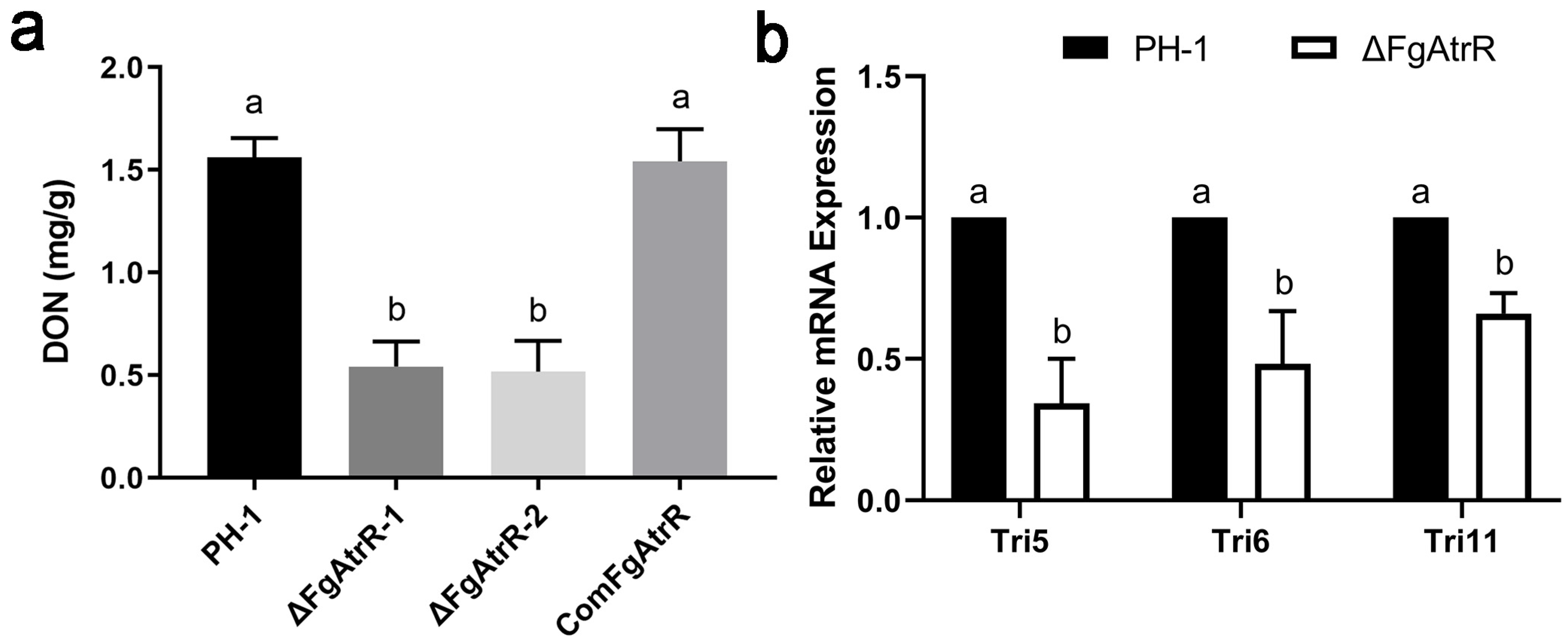 Biology 11 00326 g004 Biology 11 00326 g004