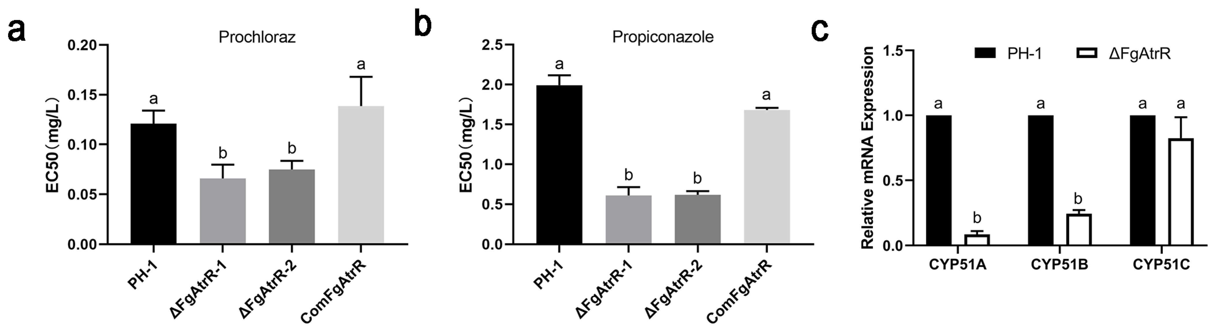 Biology 11 00326 g005 Biology 11 00326 g005